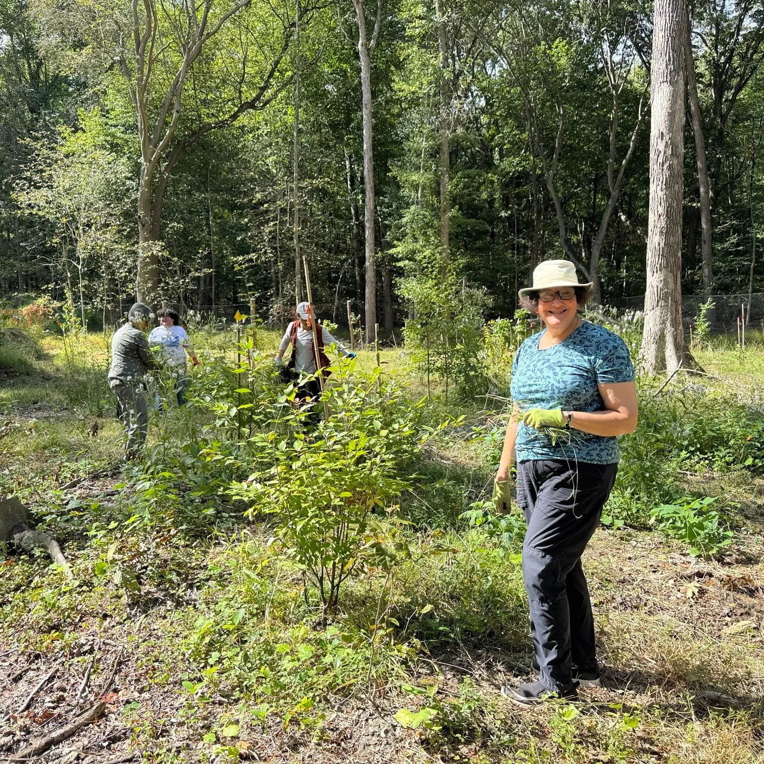 Native Planting with Wild Woods Restoration