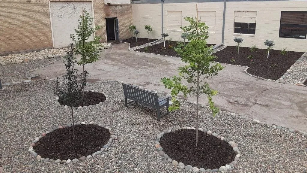 A small, paved outdoor courtyard with two young trees planted in circular mulched beds outlined with rocks. A black wooden bench is situated between the trees, and in the background, there are additional plants and freshly tilled landscaping areas al