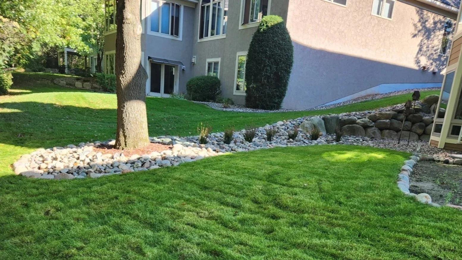 A landscaped backyard with a well-manicured green lawn, a tree with a mulch bed, and a curved stone border. There are shrubs, trees, and neighboring buildings visible in the background.
