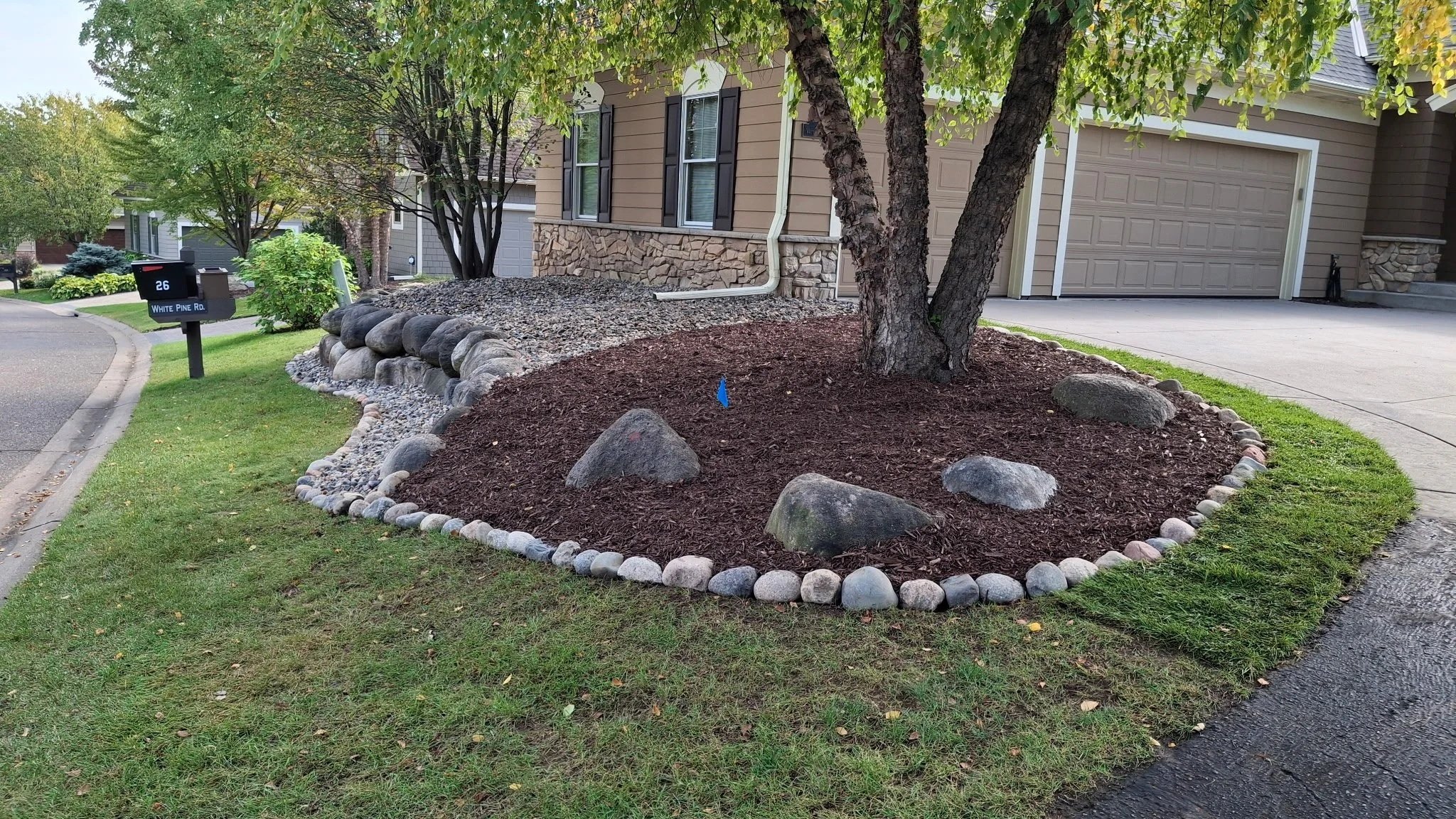 Front yard landscaping with a large tree, mulched area with rocks, a stone border, a house with an attached garage, a driveway, and a lawn neighboring a sidewalk.