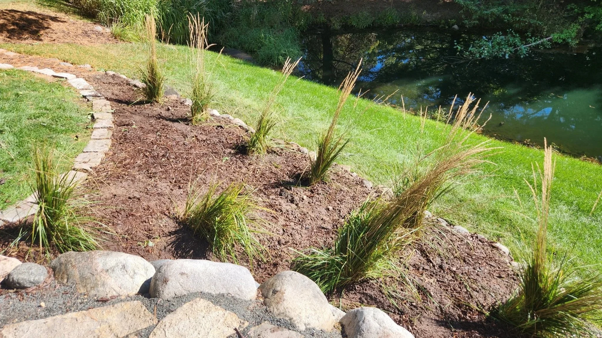 Garden path with grass and plants beside a pond with trees reflected in the water.