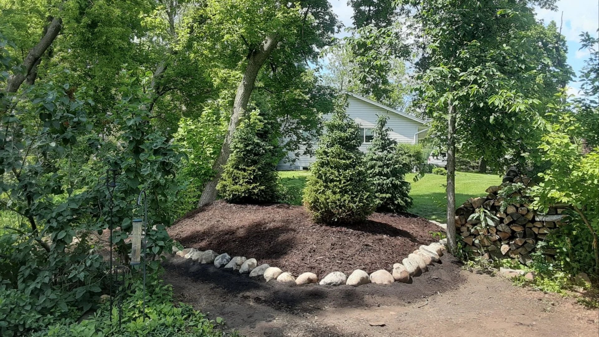 A landscaped backyard with three small evergreen trees on a mound of dark soil, bordered by a circle of rocks. Surrounding green trees and a white house are visible in the background.