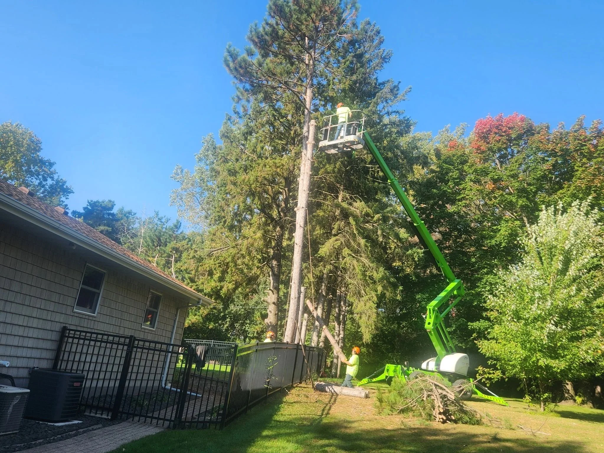 Workers trimming a tall tree with an elevated cherry picker near a house in a lush green yard.