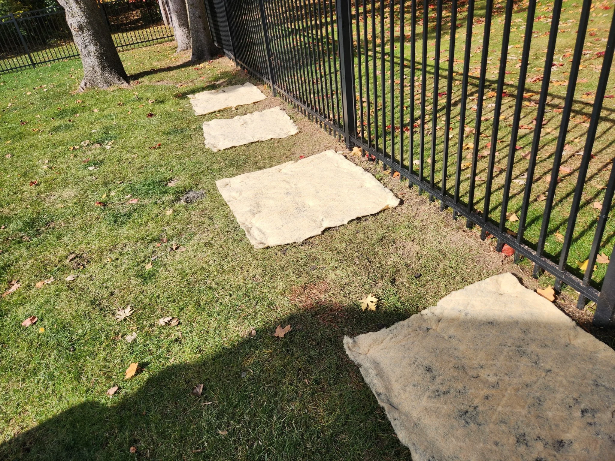 Four large irregularly shaped stone pavers are laid on the grass along a fence line. The area is shaded, with trees in the background and a metal fence running parallel to the stones.