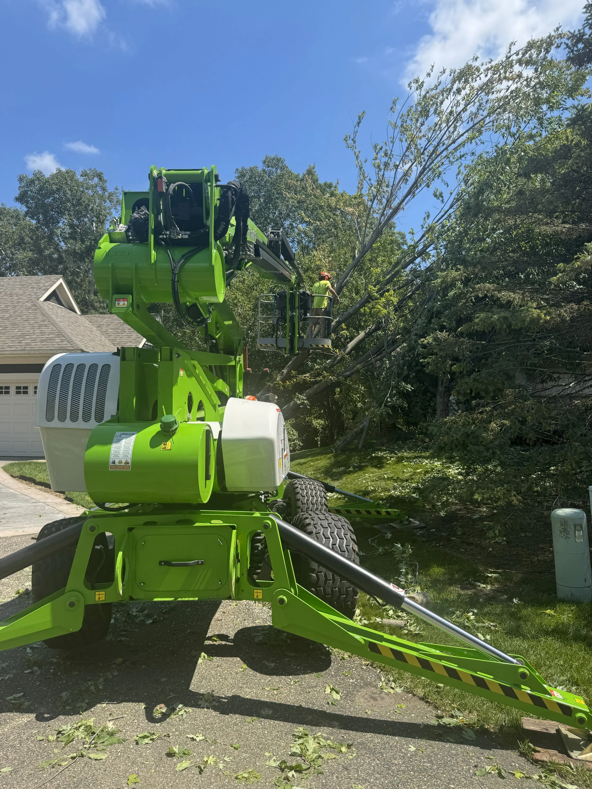 A worker in a lift is trimming or removing a tall tree with multiple branches, using a green cherry picker on a residential street under a blue sky.
