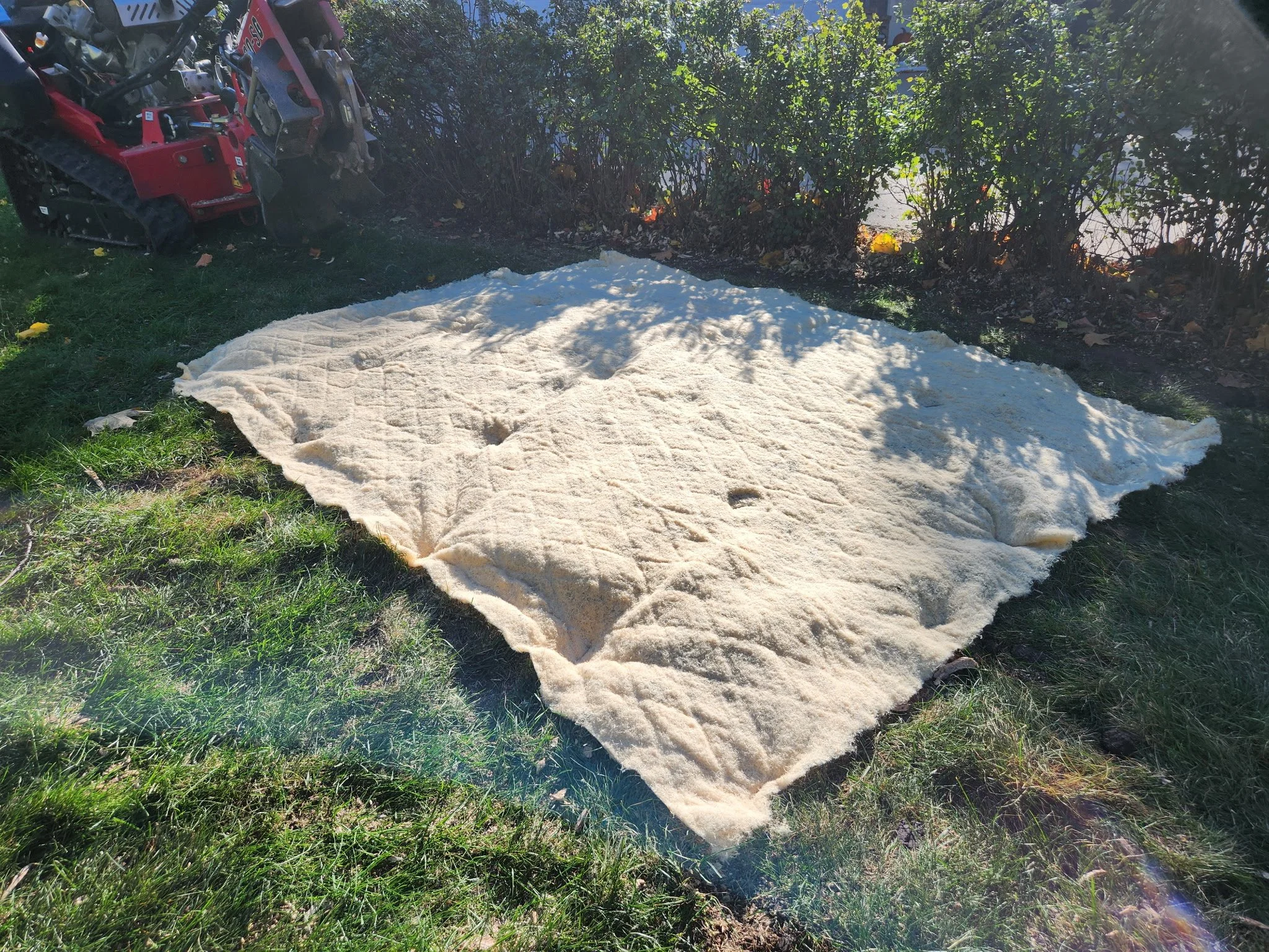 A large white rug on the grass outdoors, with a small tractor or lawn equipment visible in the background near bushes.