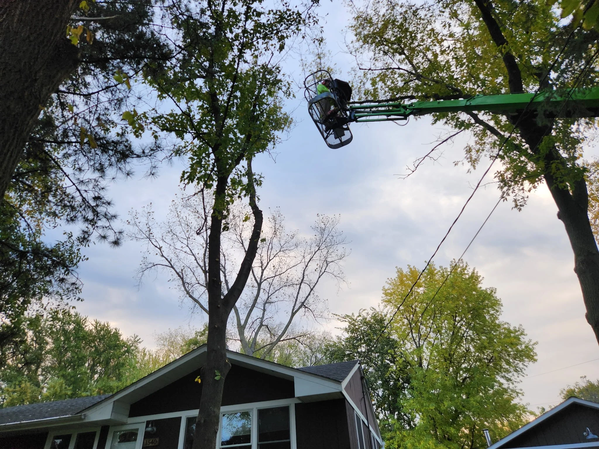 A worker using a green cherry picker to trim trees in a residential area with houses, trees, and a partly cloudy sky.