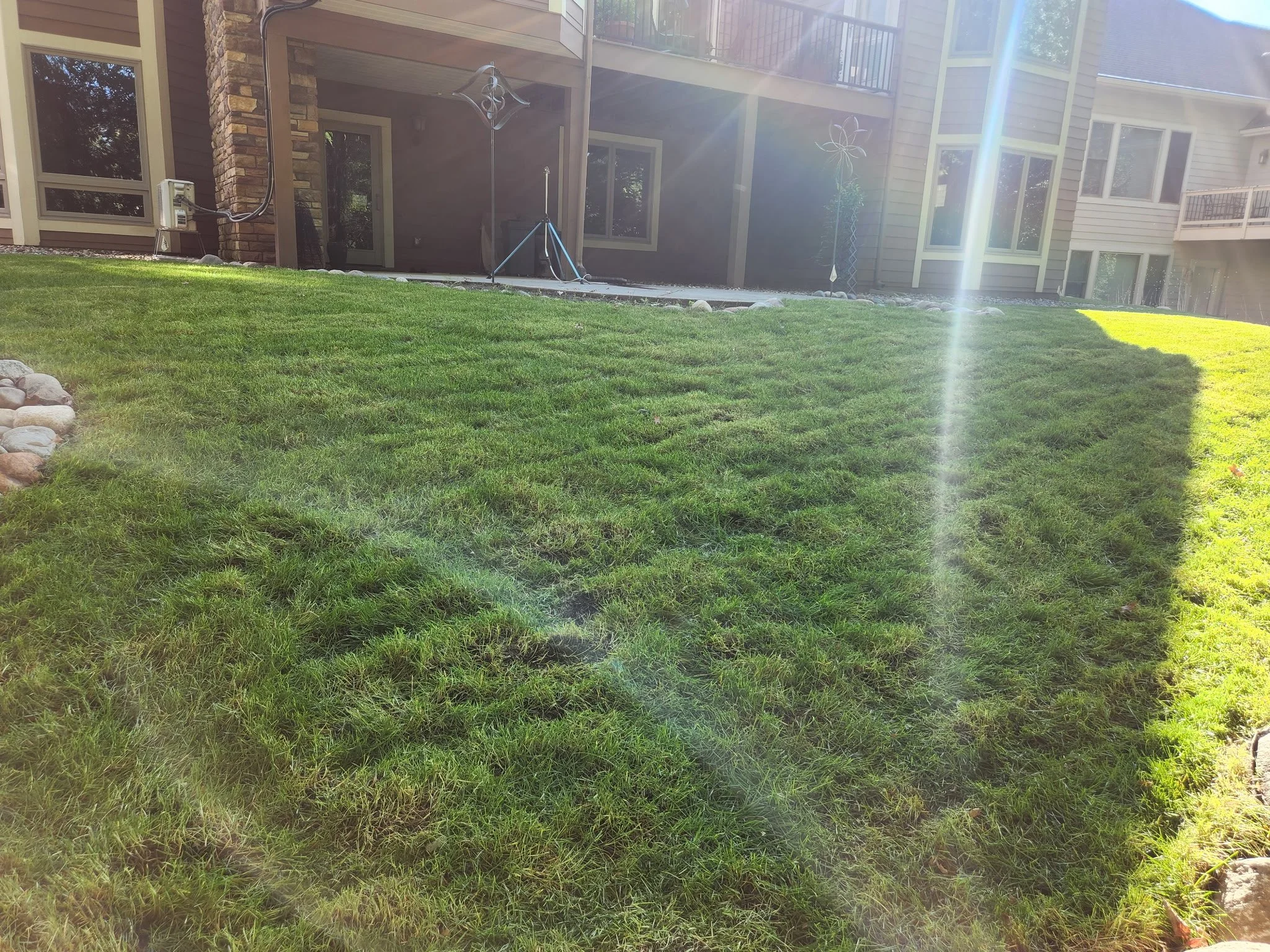 A backyard with a green lawn, rocks on the left side, and a house with large windows and a patio in the background. There is sunlight and a lens flare crossing the image from the upper right.