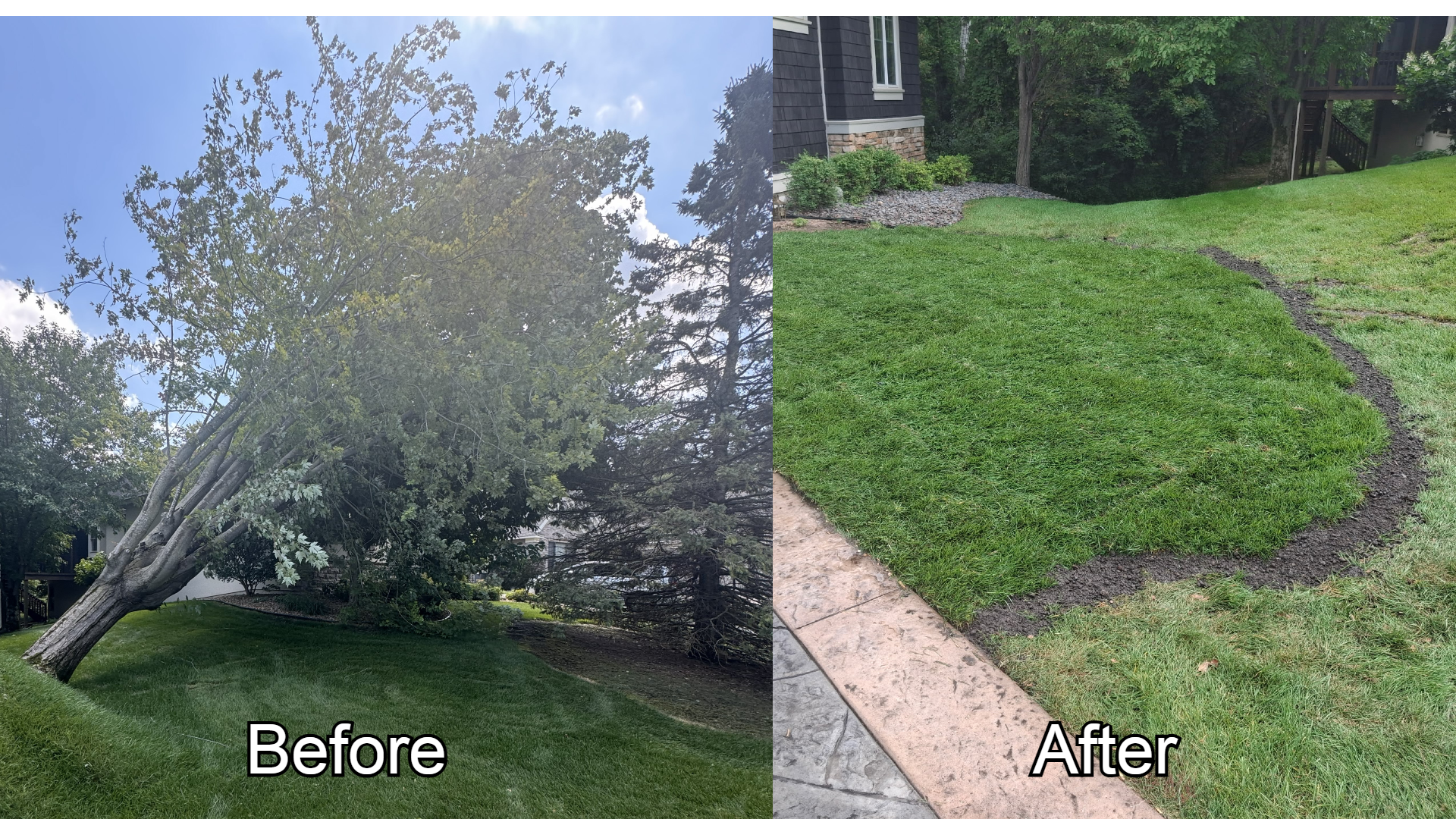 tree work website 2.png