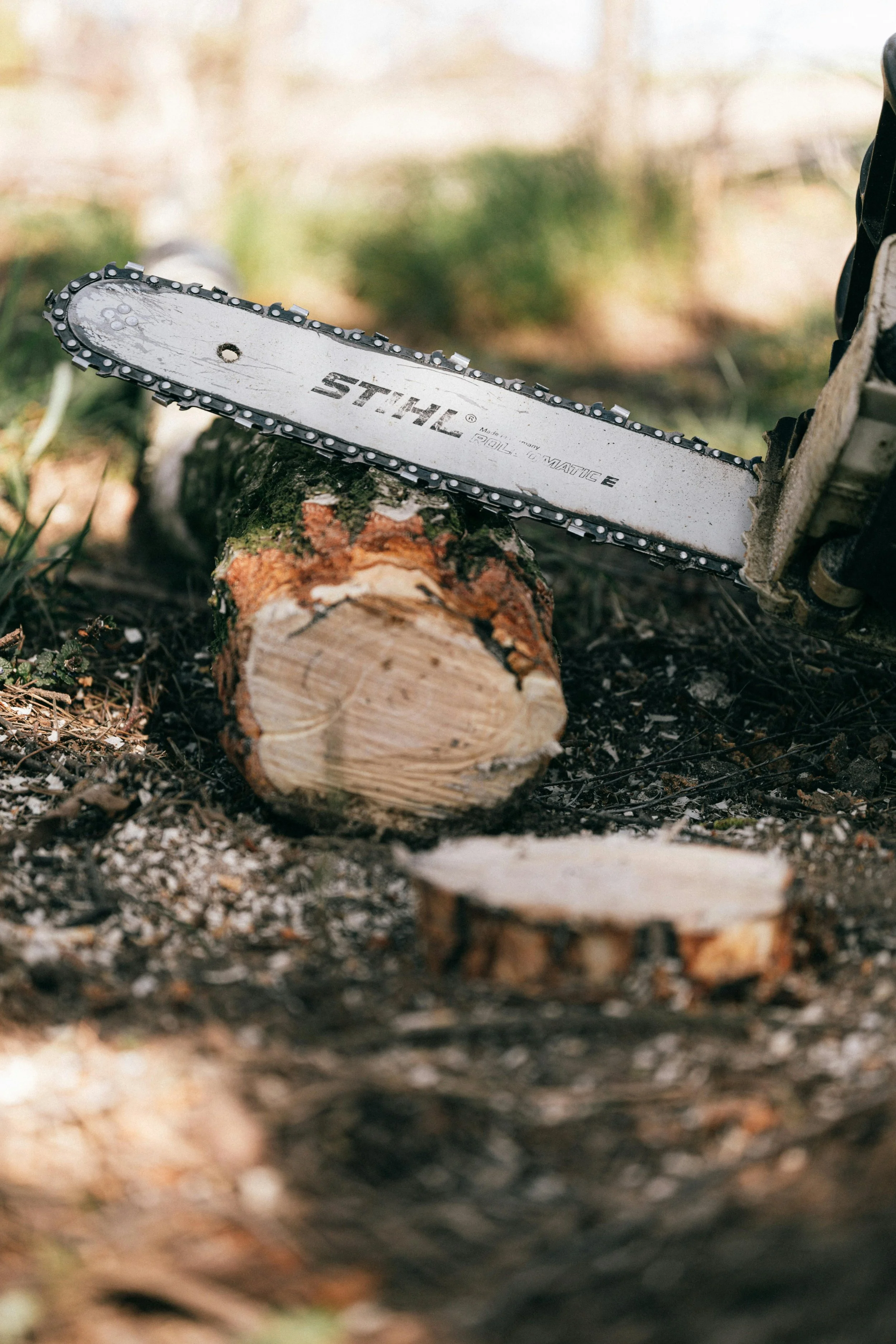 A chainsaw resting on a fallen tree trunk, cutting through the wood, outdoors in a natural setting.