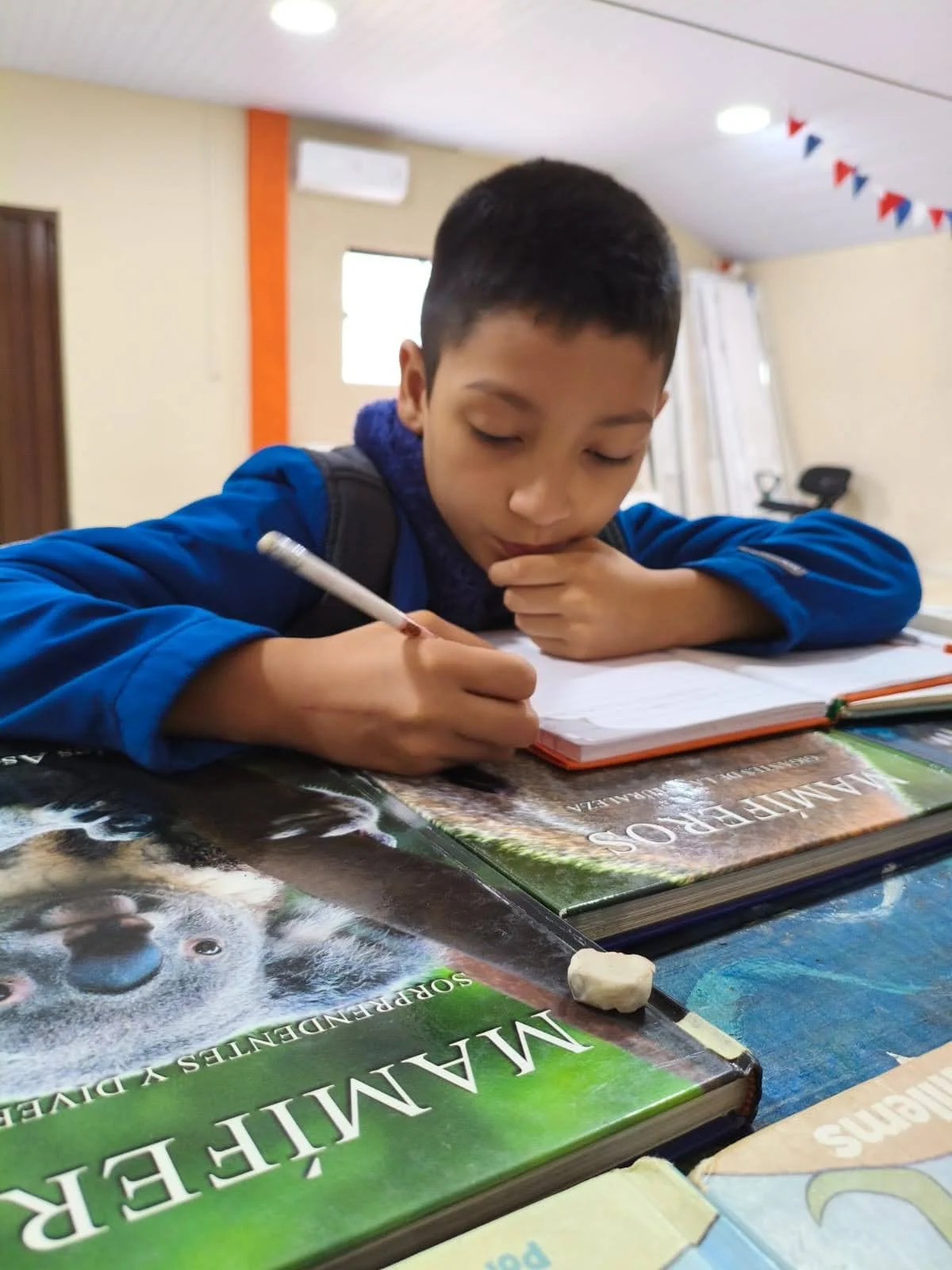Young boy studying or working on homework at a desk with books and a notebook.