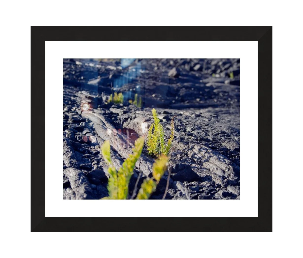 LavaFieldLife_MatandFrame.jpg