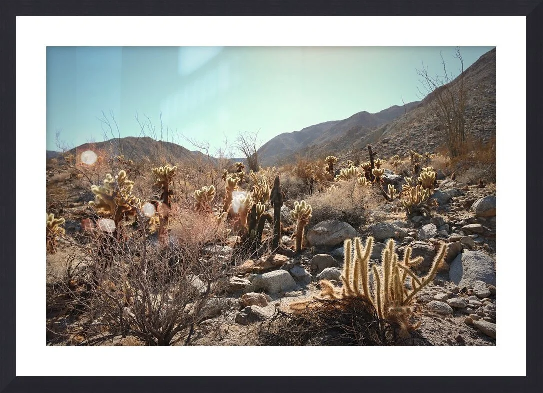 SonoranEchoes_matandframe.jpg