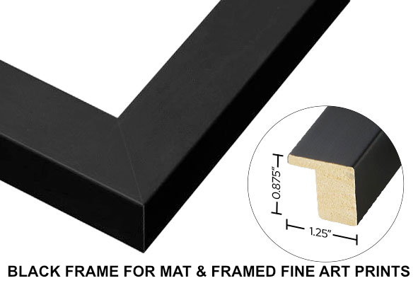 Web_BlackFrame.png (Copy) (Copy) (Copy)