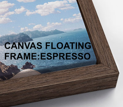 Web_CanvasFloatEspresso.png (Copy)