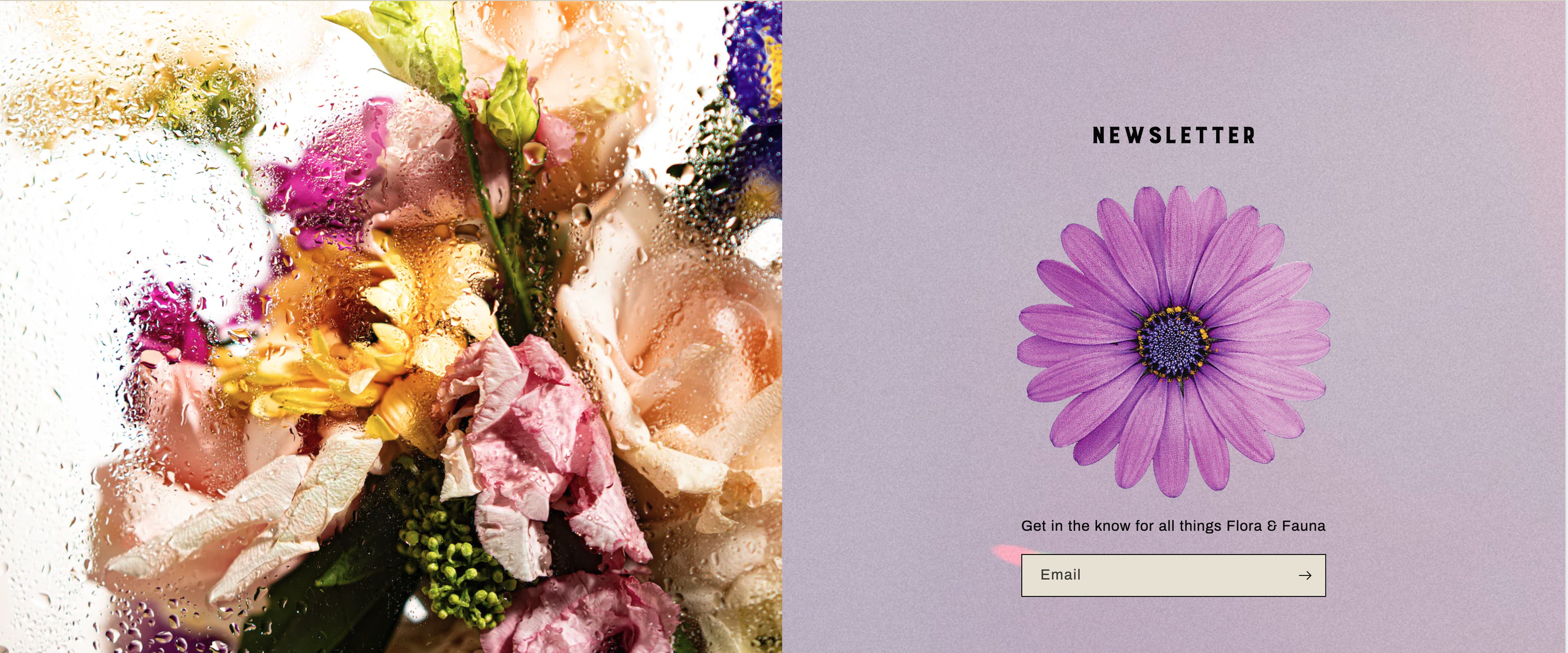 A colorful bouquet of flowers seen through a rain-covered window on the left side, with a lavender-colored background featuring a purple daisy flower and a newsletter sign-up form on the right side.