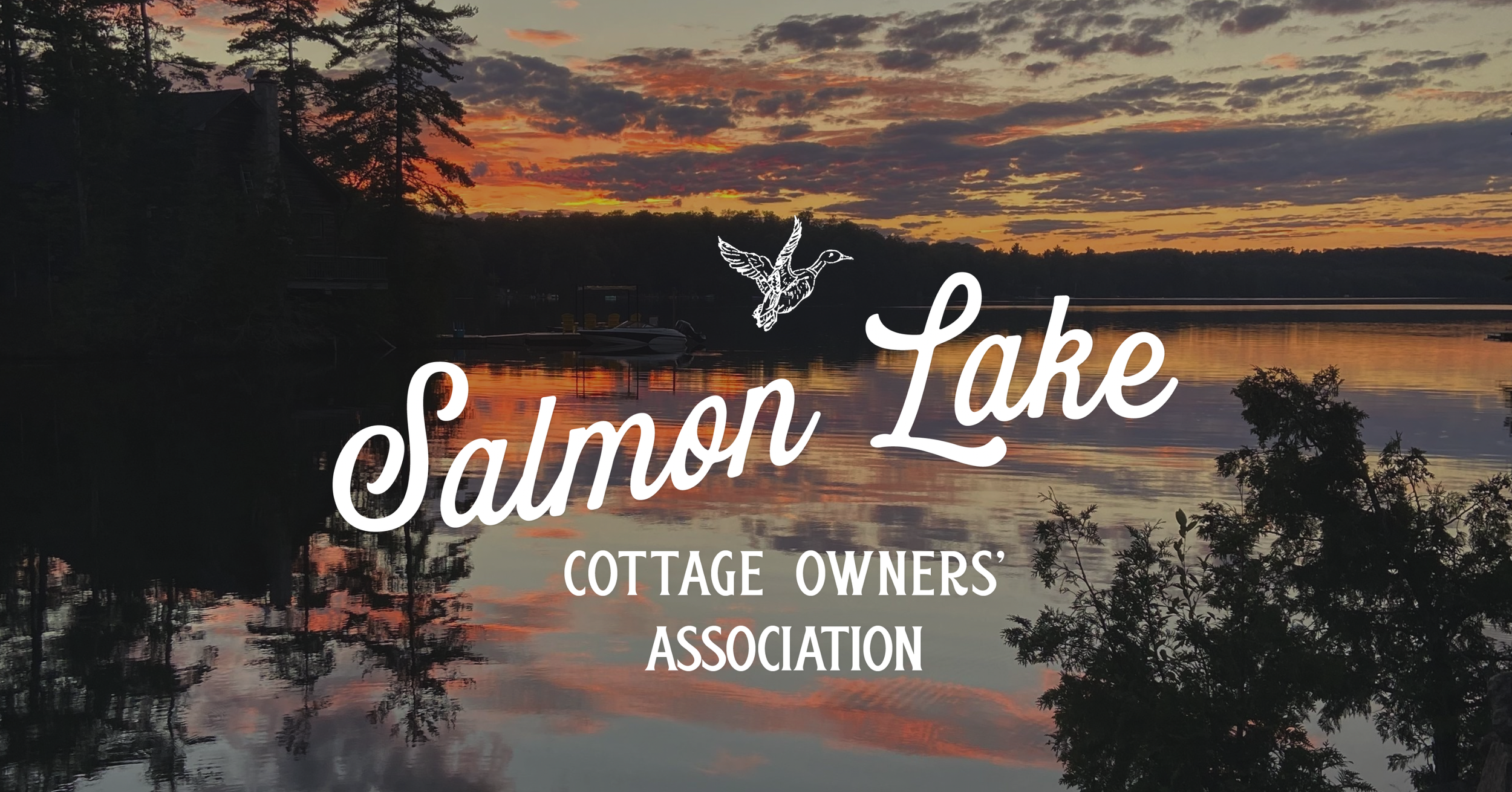 Sunset over calm lake with trees and a house on the shore. The image features the logo of 'Salmon Lake Cottage Owners' Association,' including a stylized drawing of a flying duck.