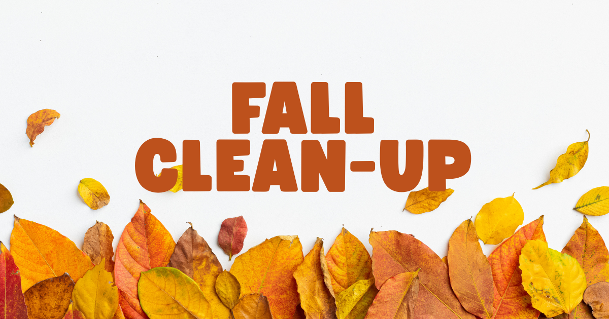 Fall Clean-UP