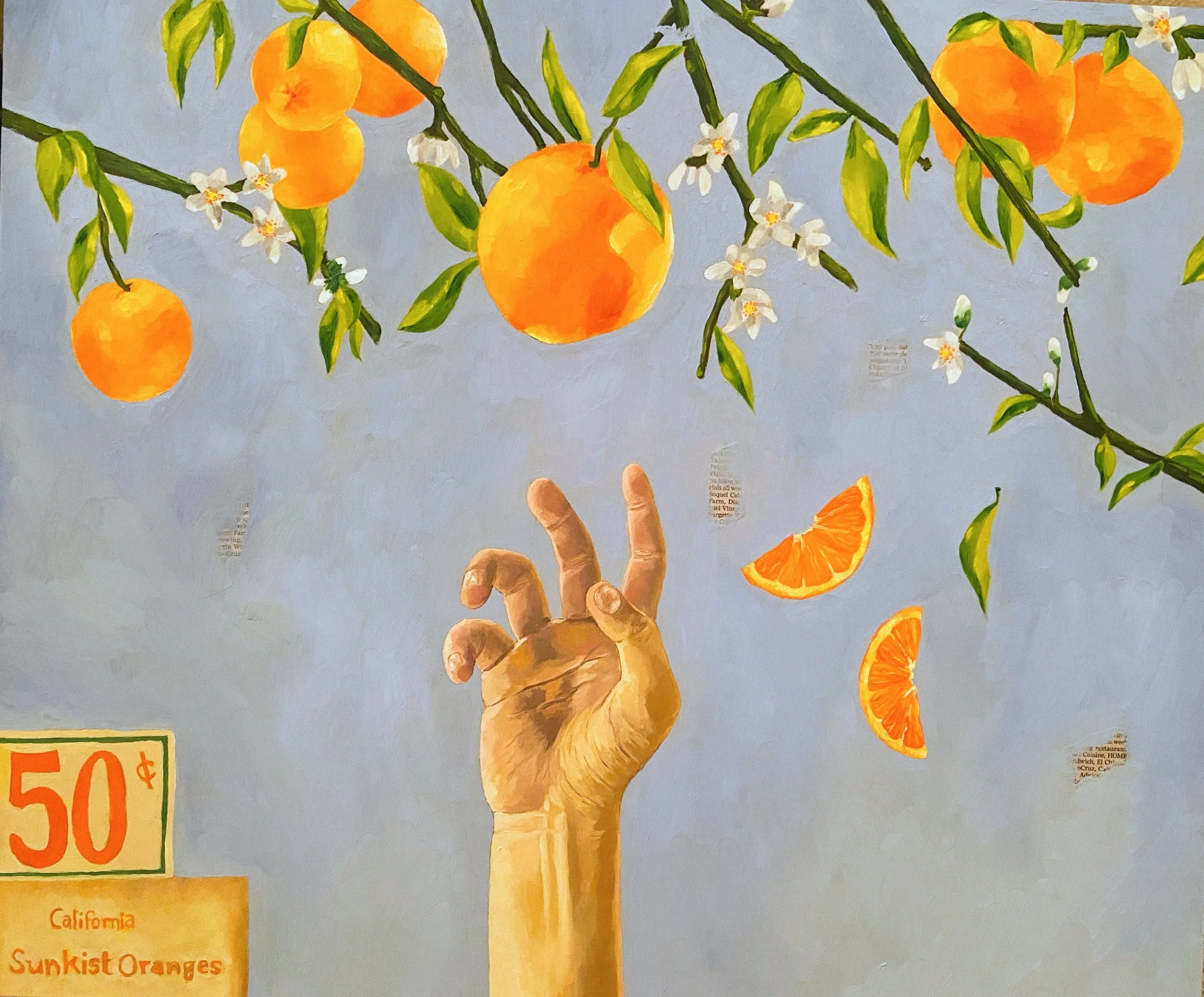 Painting of branches with hanging oranges, white blossoms, and green leaves against a light blue background. A human hand reaching up is depicted below, with two orange slices falling nearby. A sign in the lower left corner indicates a price of 50 cents for Sunkist Oranges from California.