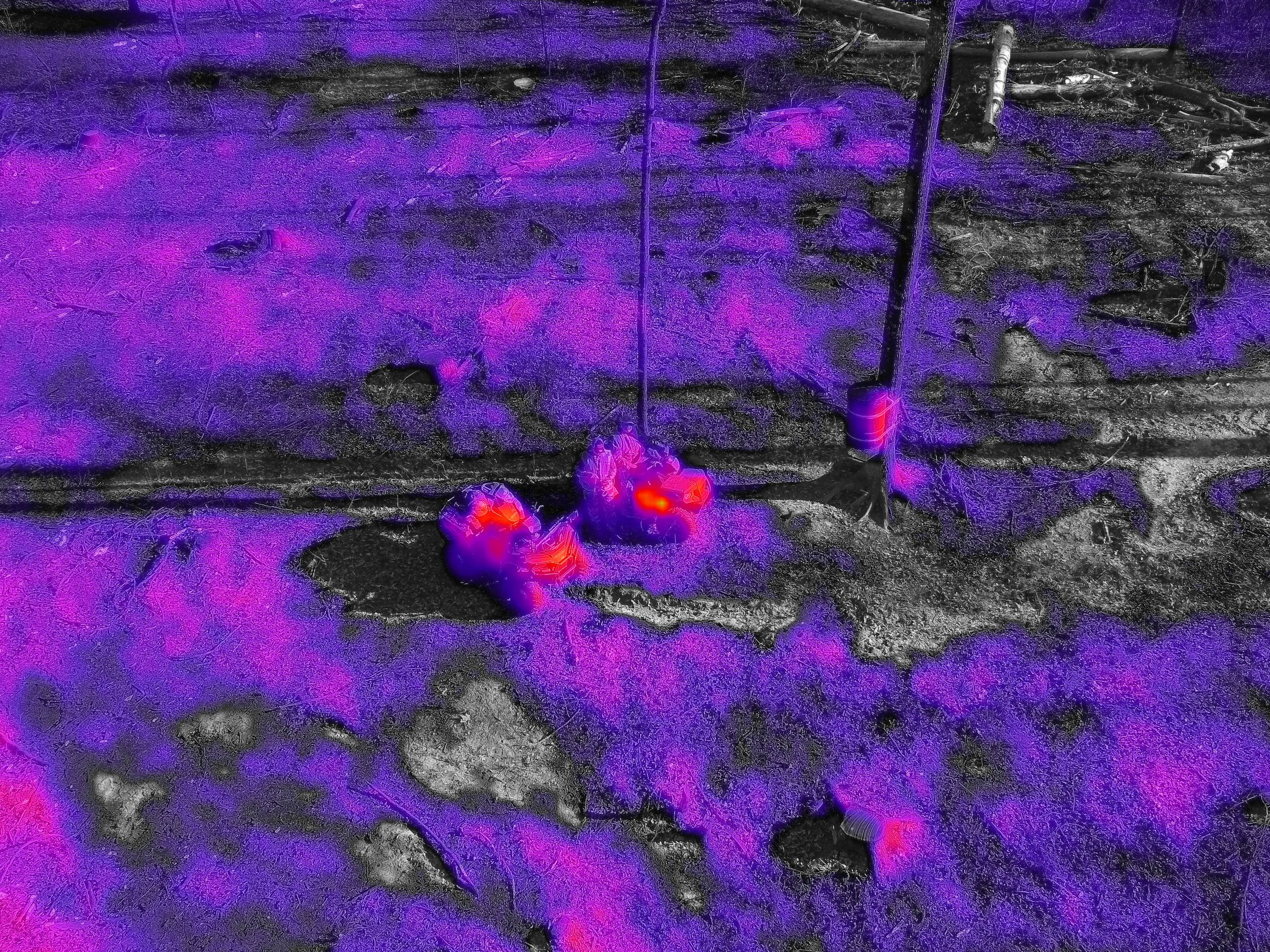 Thermal Imaging Service