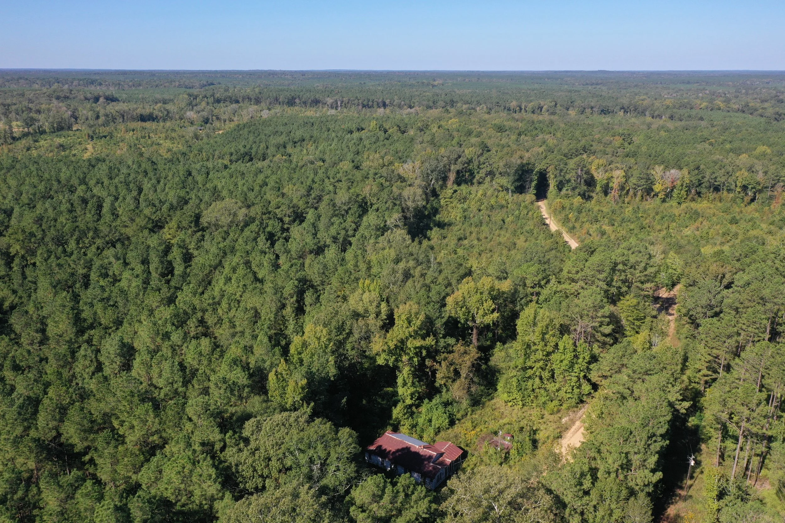 Aerial view of a house in a dense forest with a dirt road leading to it, surrounded by tall trees under a clear blue sky.