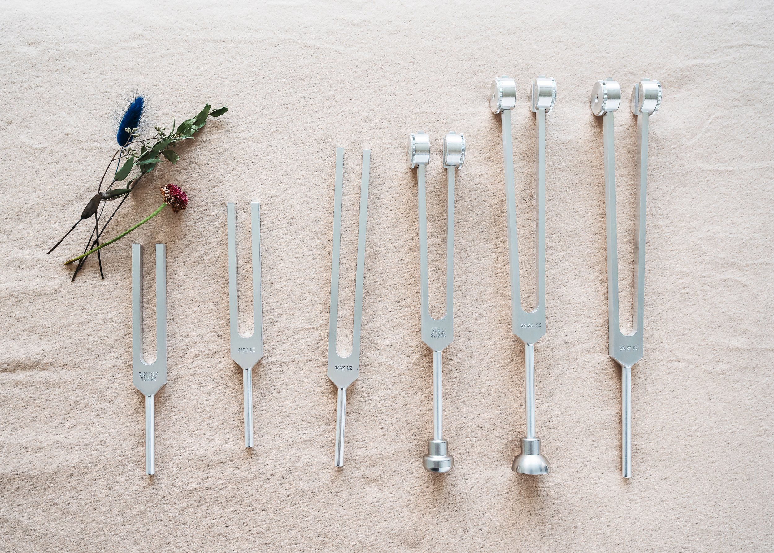 A collection of metal tuning forks arranged in a row on a beige surface with two flowers on the side.