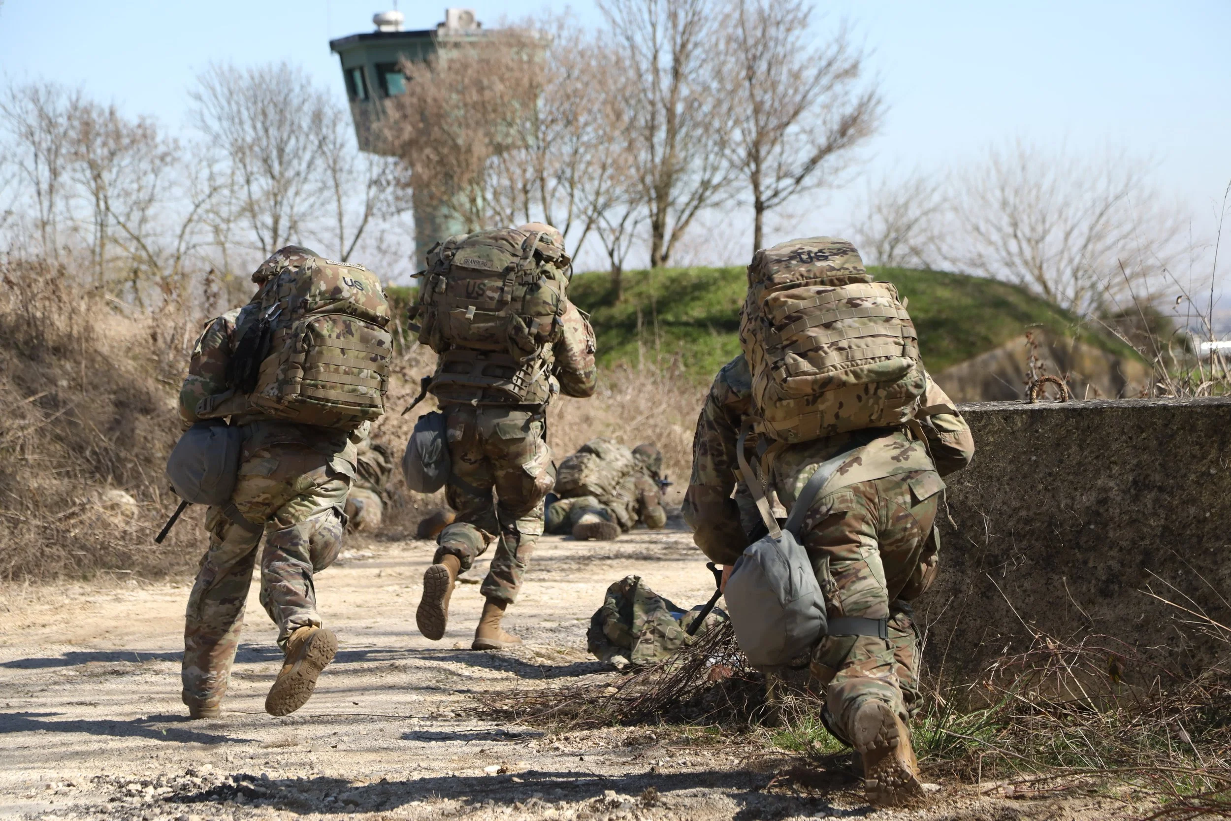8917777.jpg