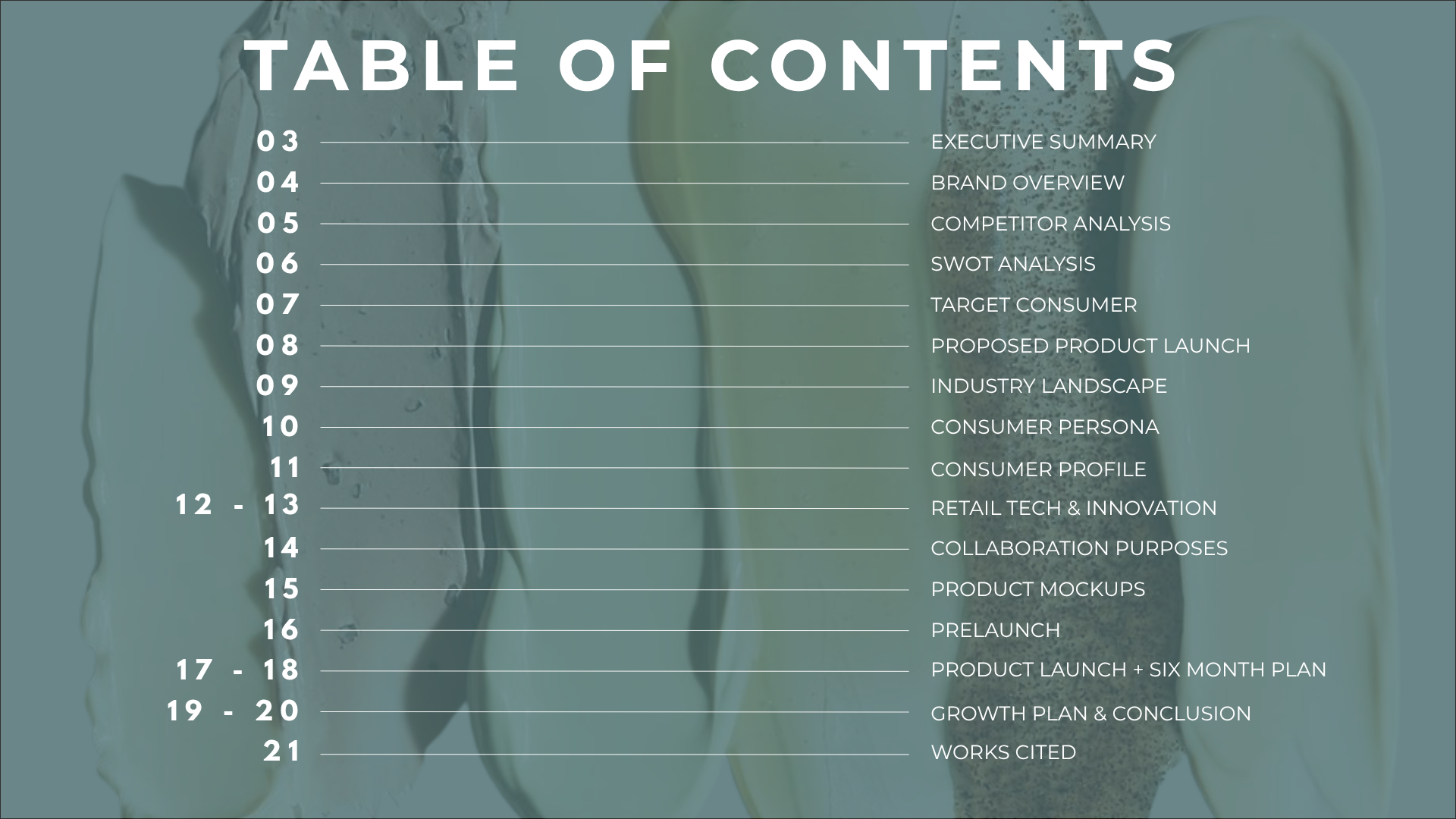 Table of contents slide listing sections from executive summary and brand overview to product launch, growth plan, and works cited.