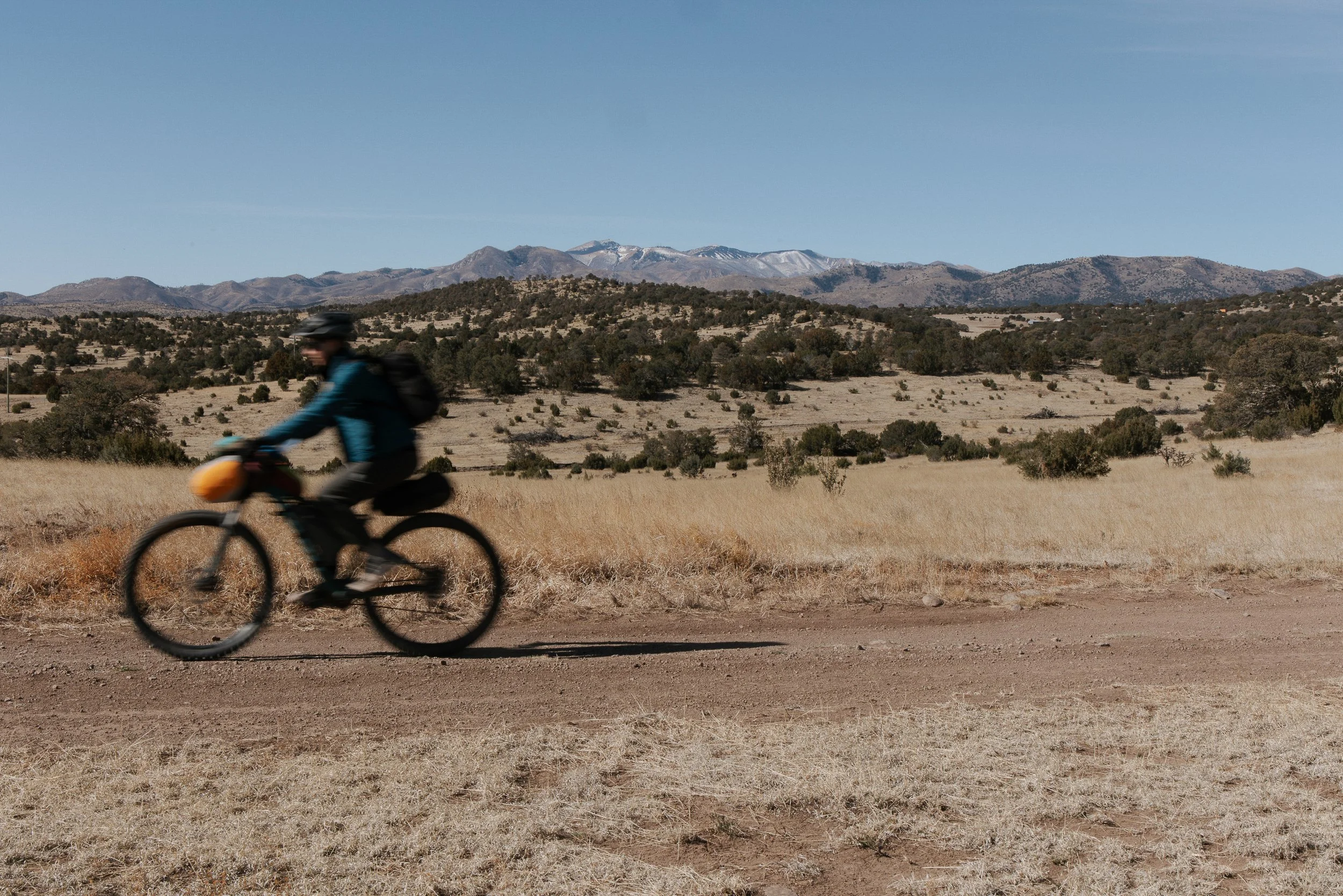 Fulton, Jill-1409.jpg