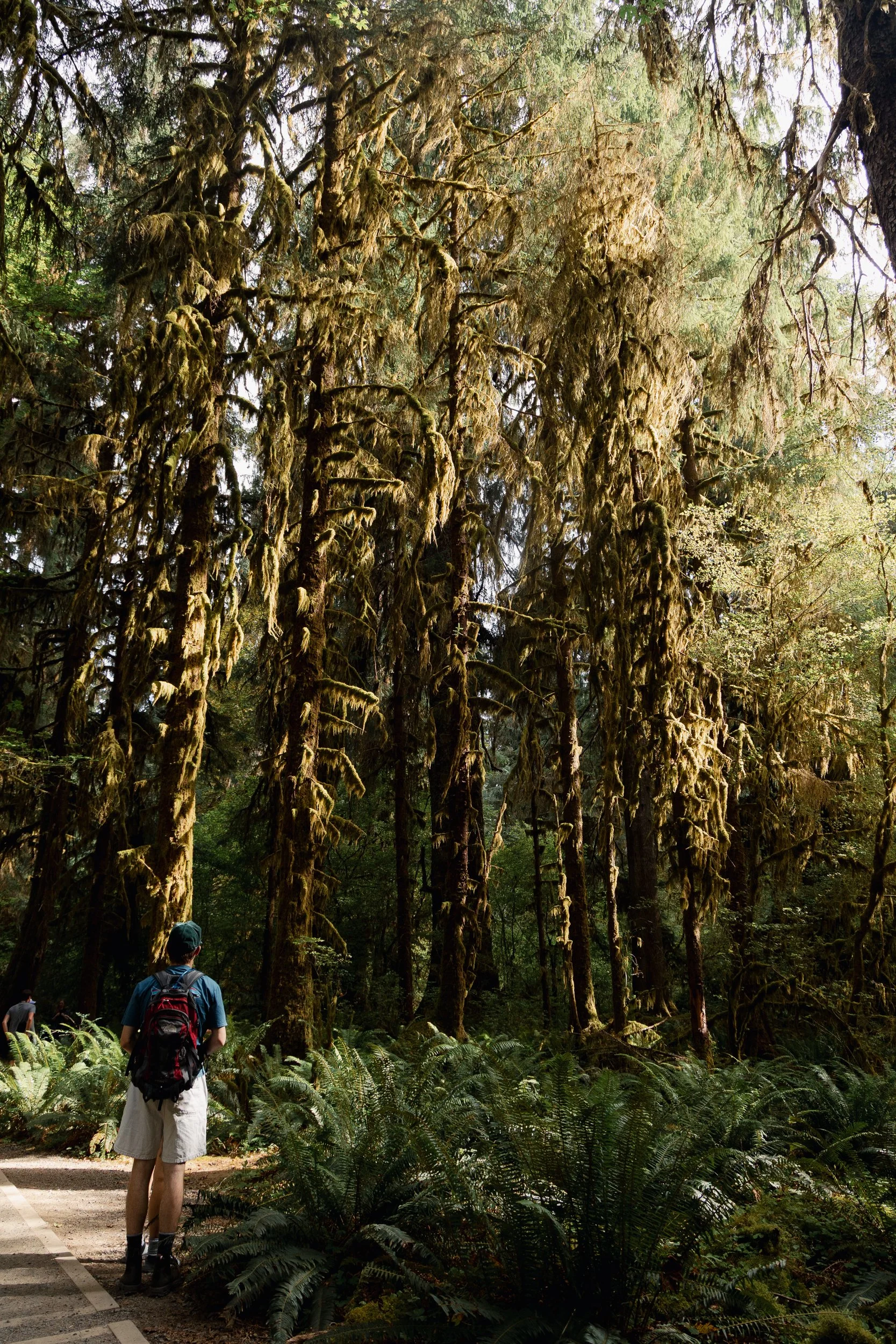 Fulton, Jill-7689.jpg