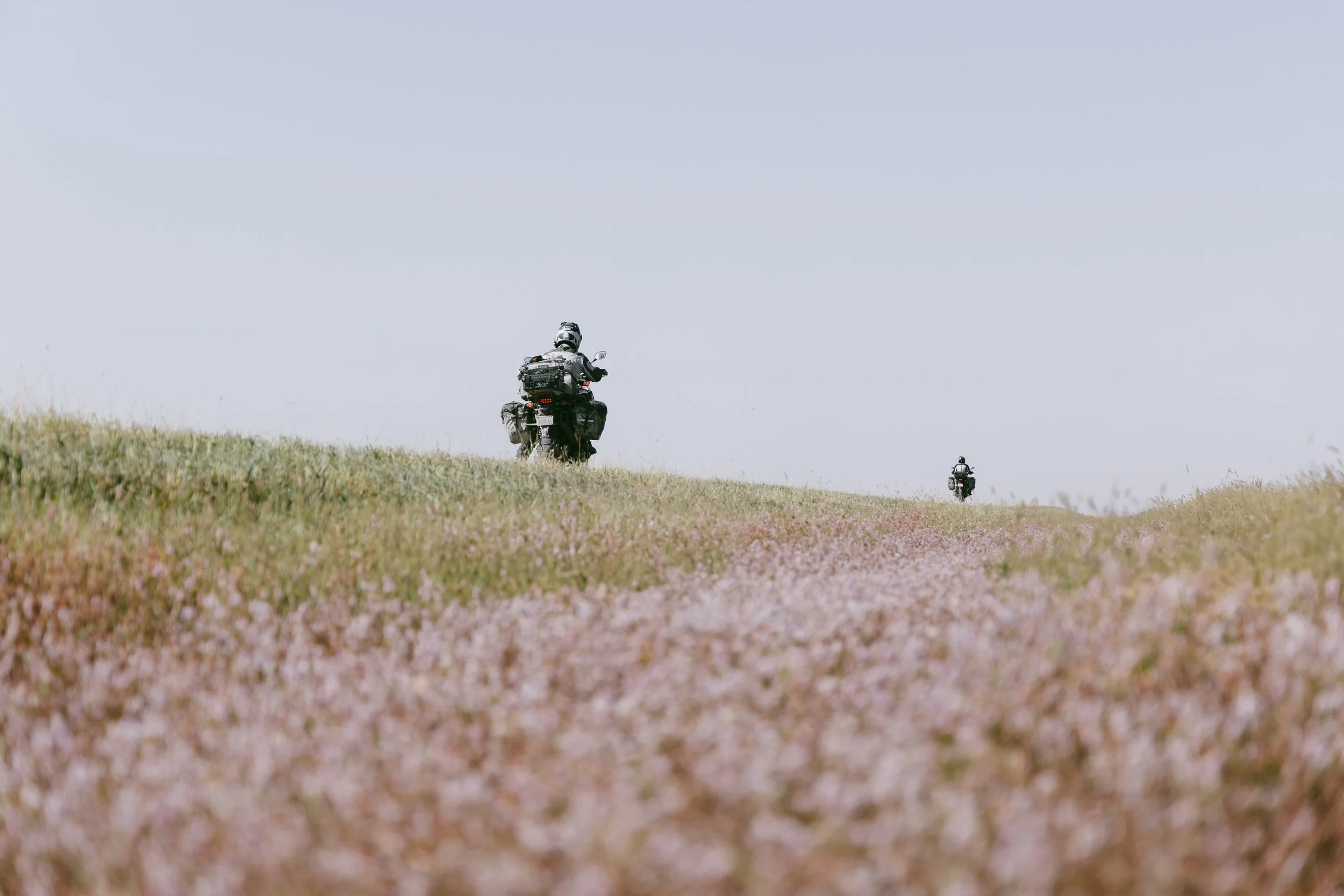 Fulton, Jill-1502.jpg