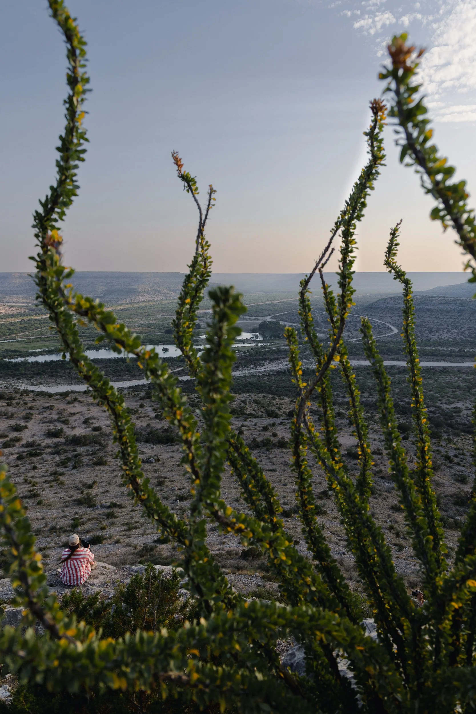 Fulton, Jill-1622.jpg