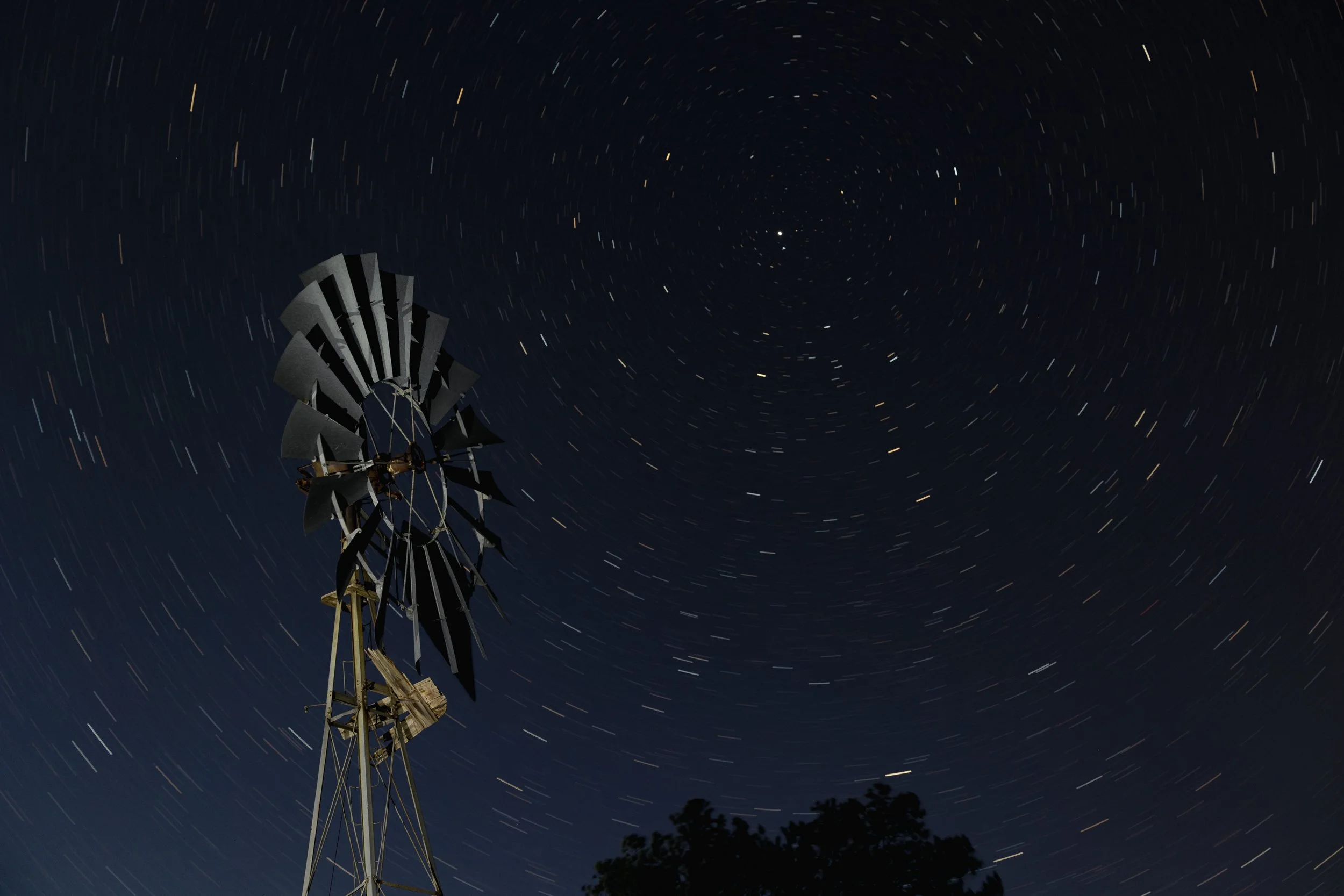 Fulton, Jill-0989.jpg