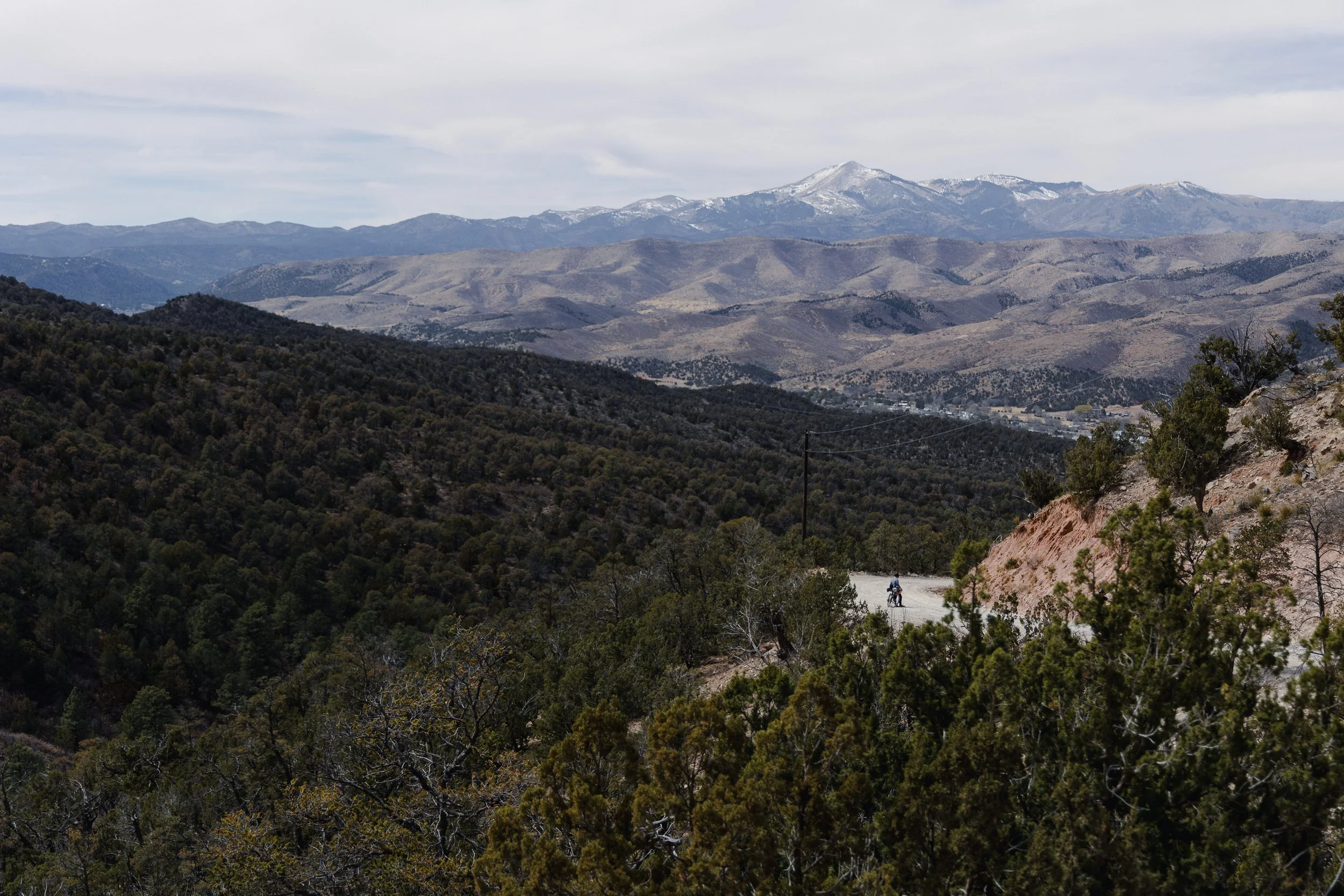 Fulton, Jill-0517.jpg