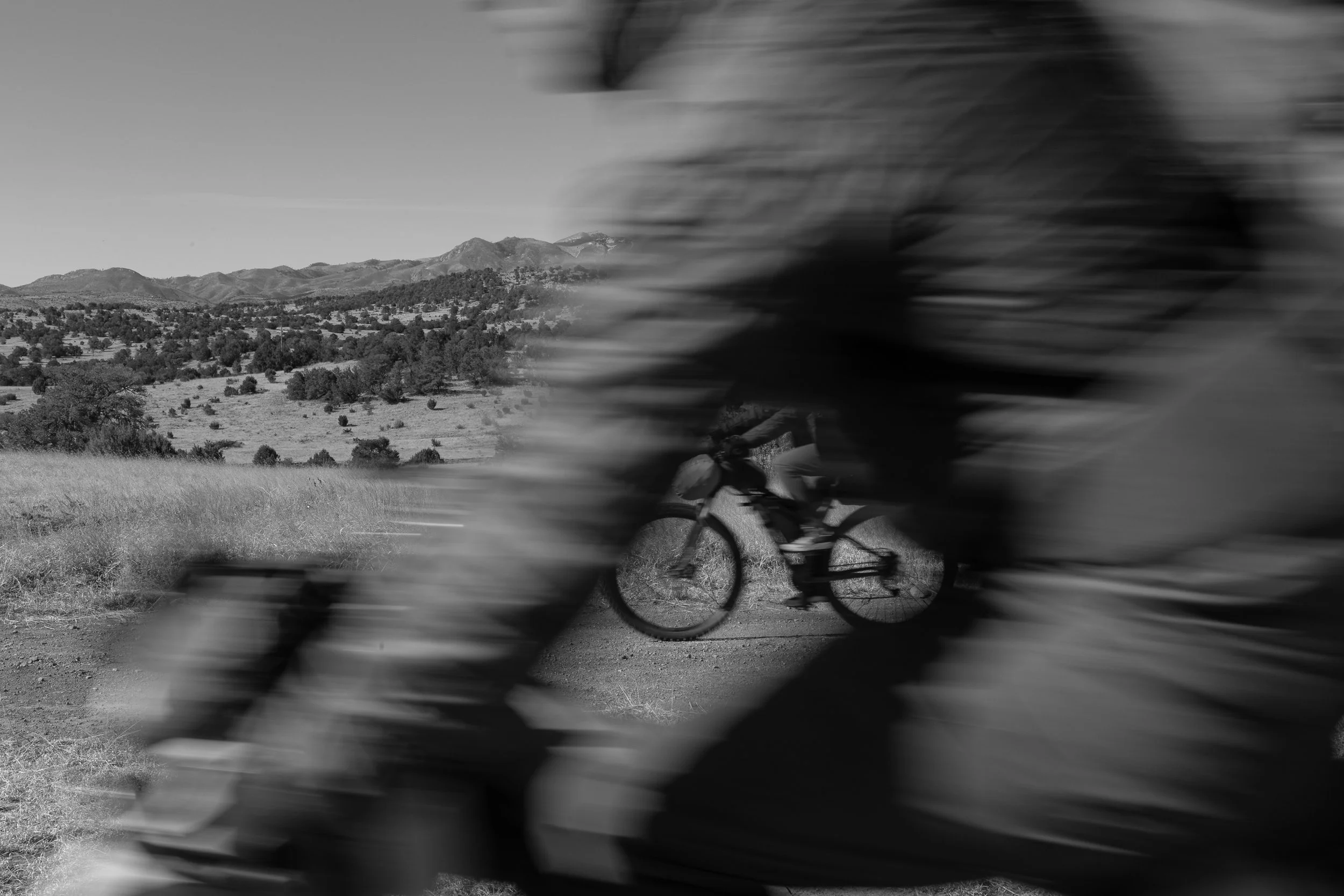 Fulton, Jill-1406.jpg