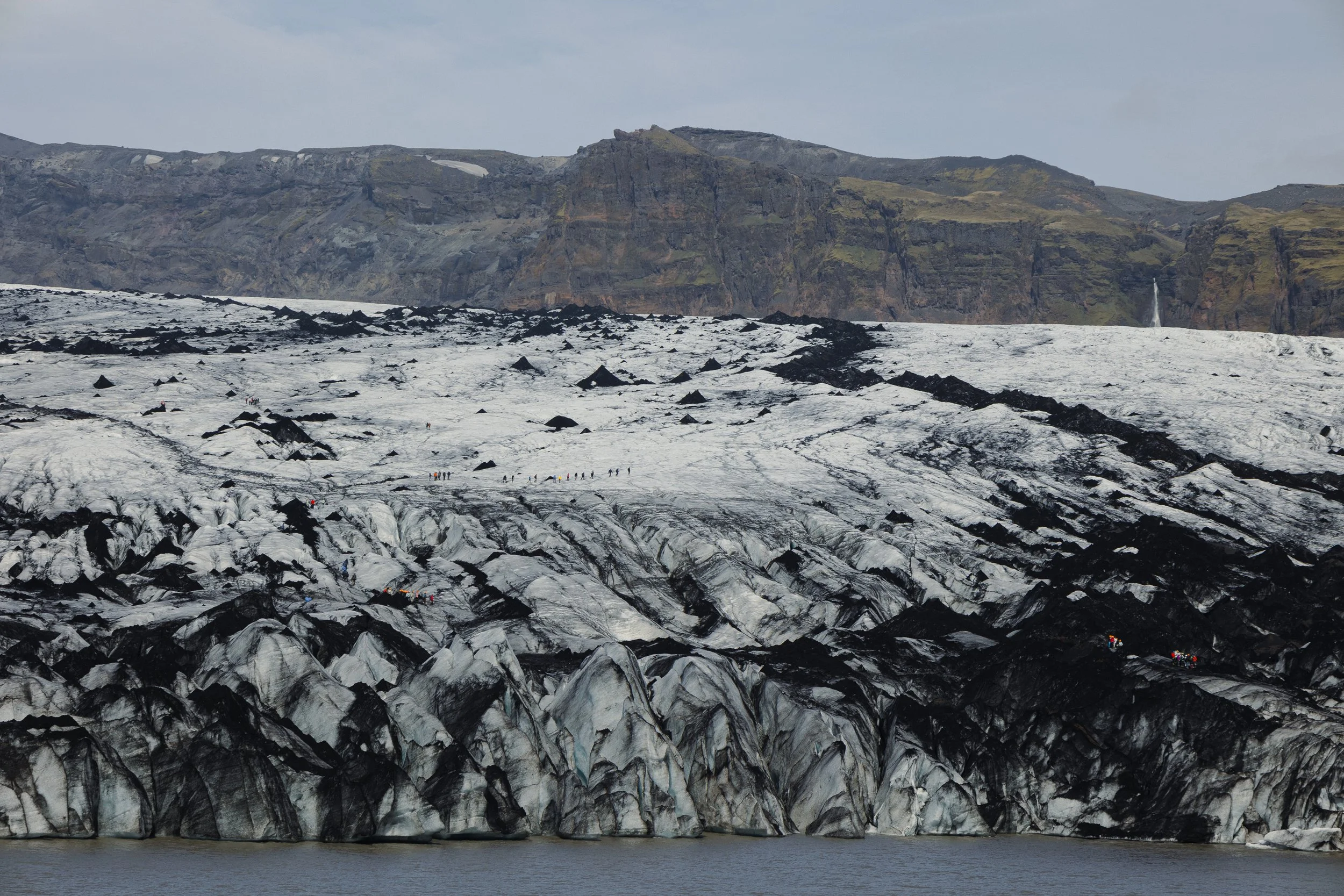 fulton, jill-5063.jpg