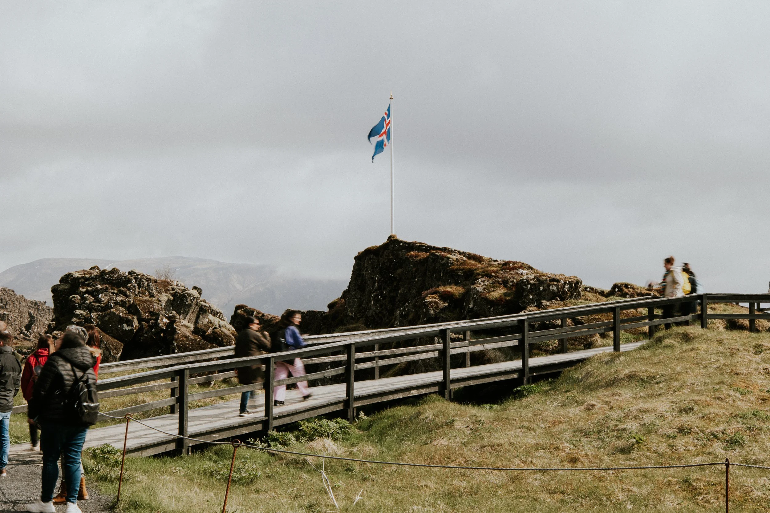 fulton, jill-2038.jpg