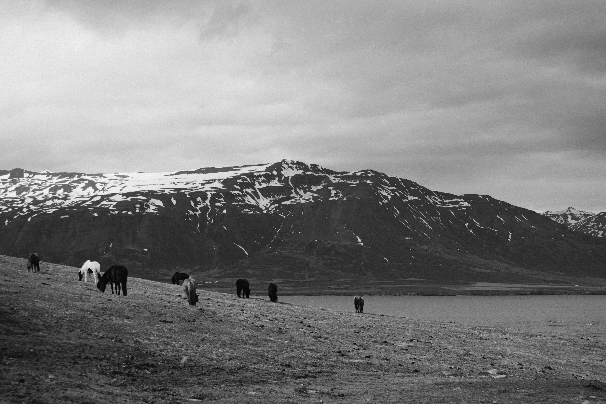 fulton, jill-0557.jpg