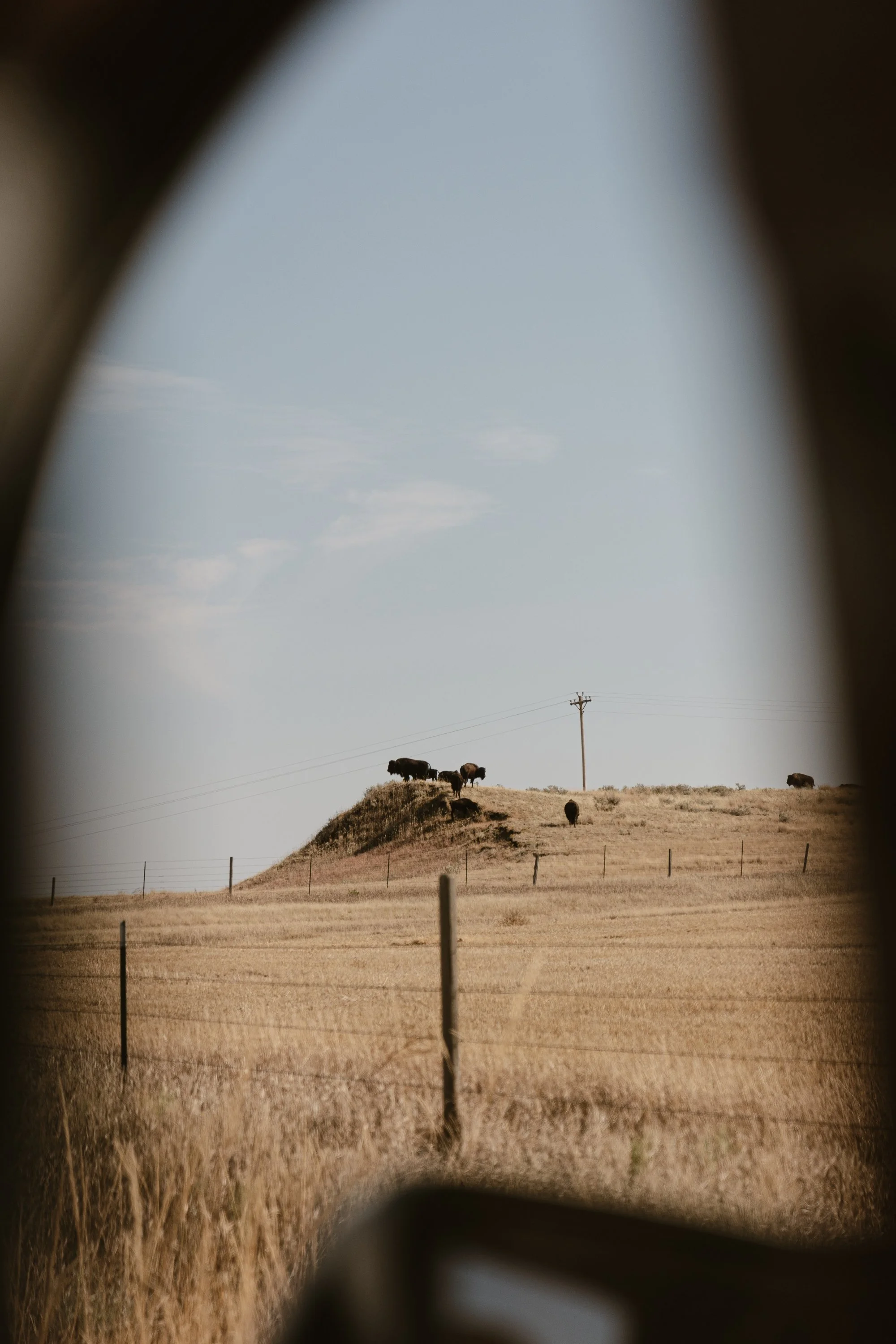 Fulton, Jill-4634.jpg