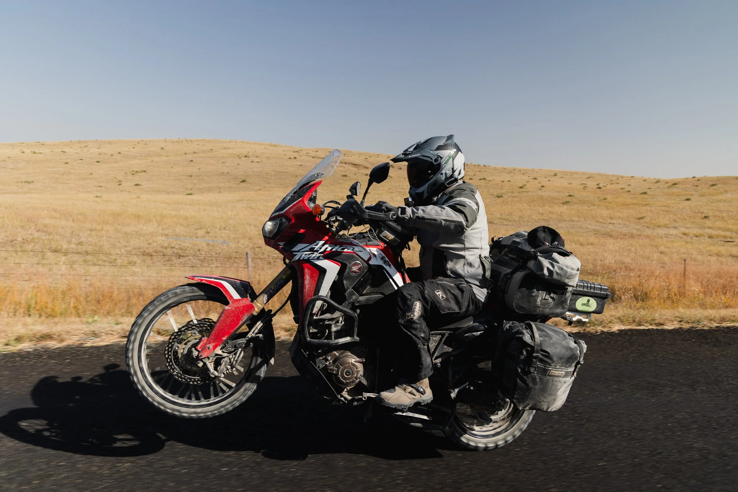 Fulton, Jill-1950.jpg