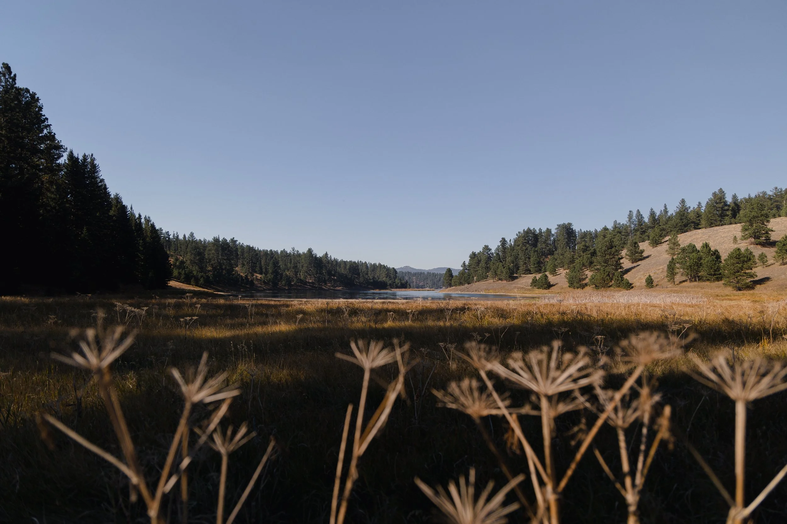 Fulton, Jill-4017.jpg