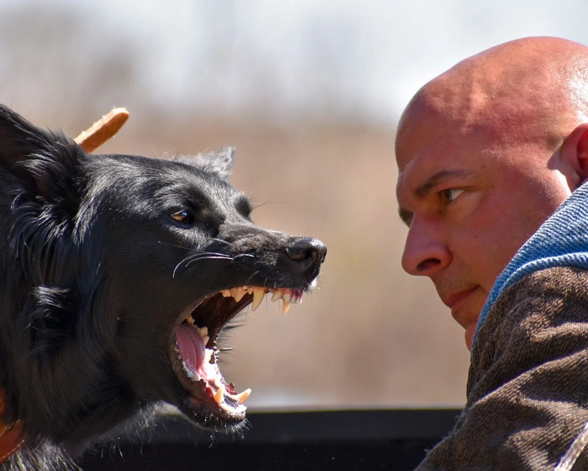 Obsidian's Capture the Moon