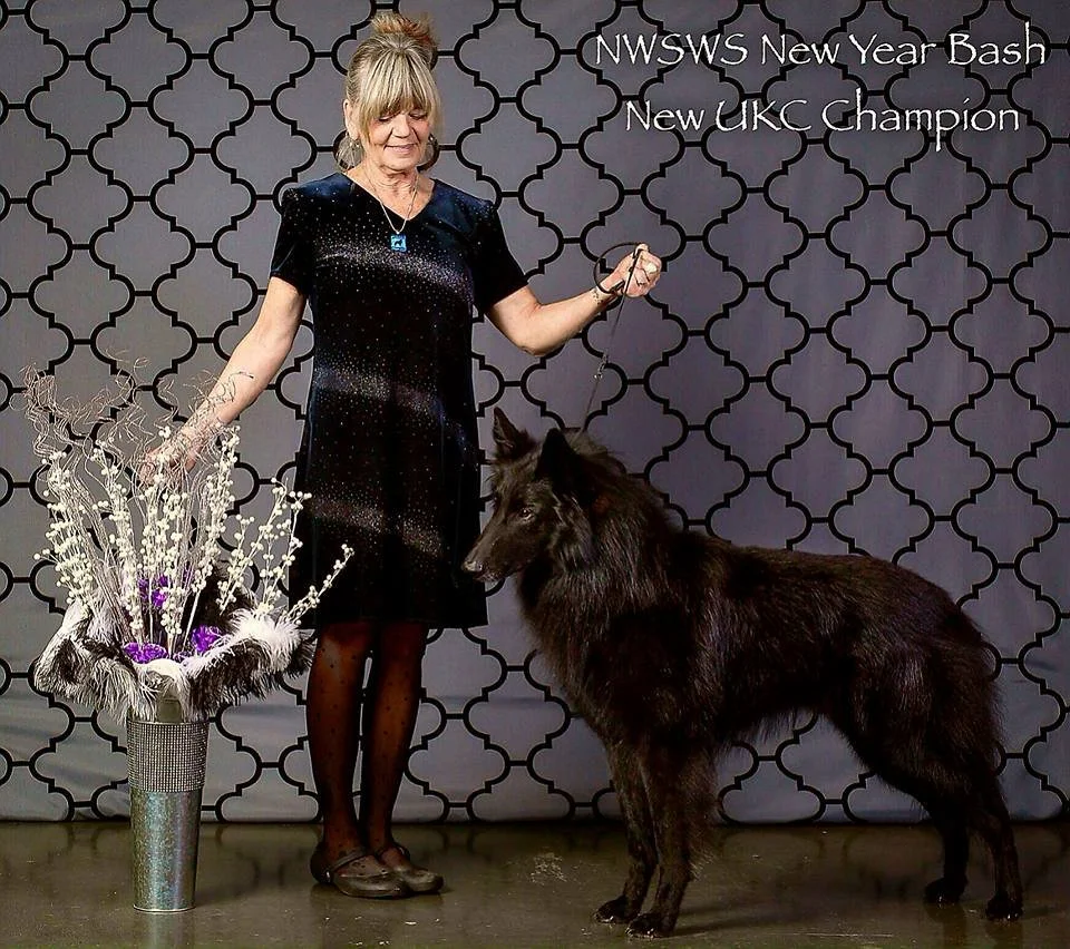 Woman standing with a black dog at an event, holding a leash, next to a bouquet of decorative flowers, with a patterned background and text that reads 'NWSWS New Year Bash, New UKC Champion.'