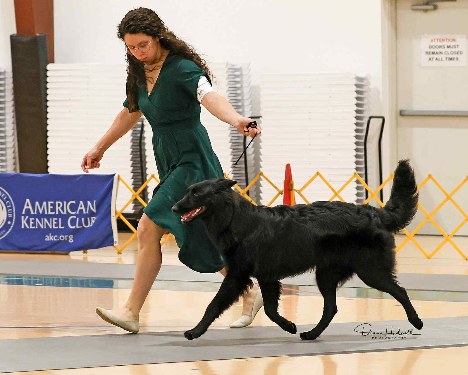 A woman in a green dress walking a black dog inside a building at a dog show, with a blue banner reading 'American Kennel Club' in the background.