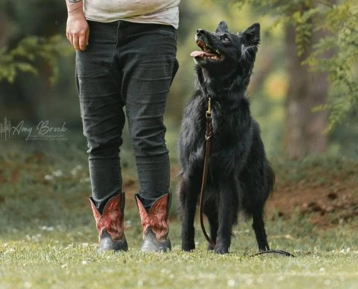 Person standing outdoors with a Belgian shepherd sitting beside them, the person wearing cowboy boots and black jeans.