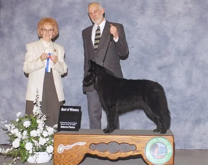 An elderly woman and man standing next to a black Scottish Terrier on a trophy platform at a dog show, with a bouquet of flowers nearby.