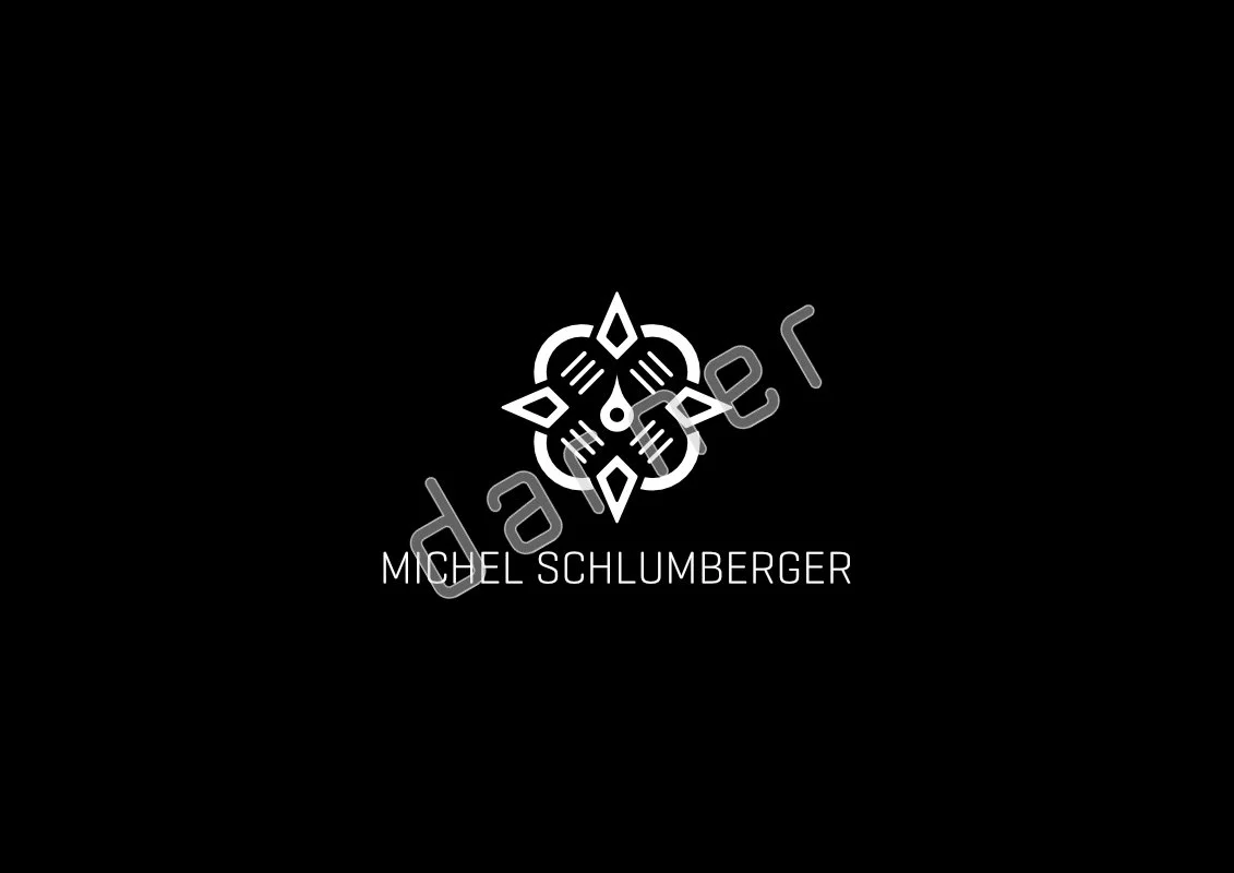 Logo_Michel_Schlumberger_Background_RGB.jpg