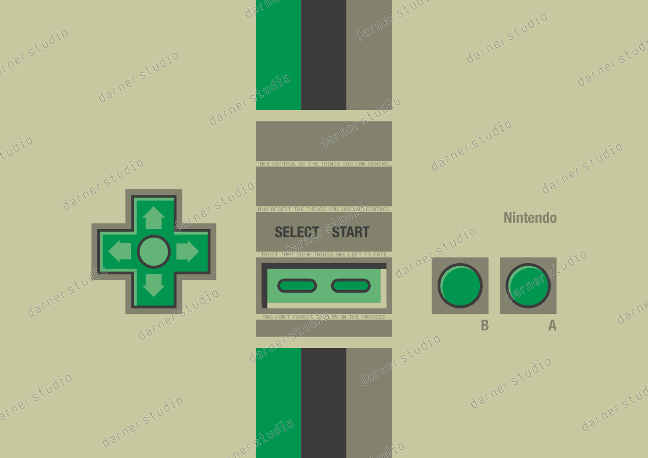 Nintendo Controller (New)