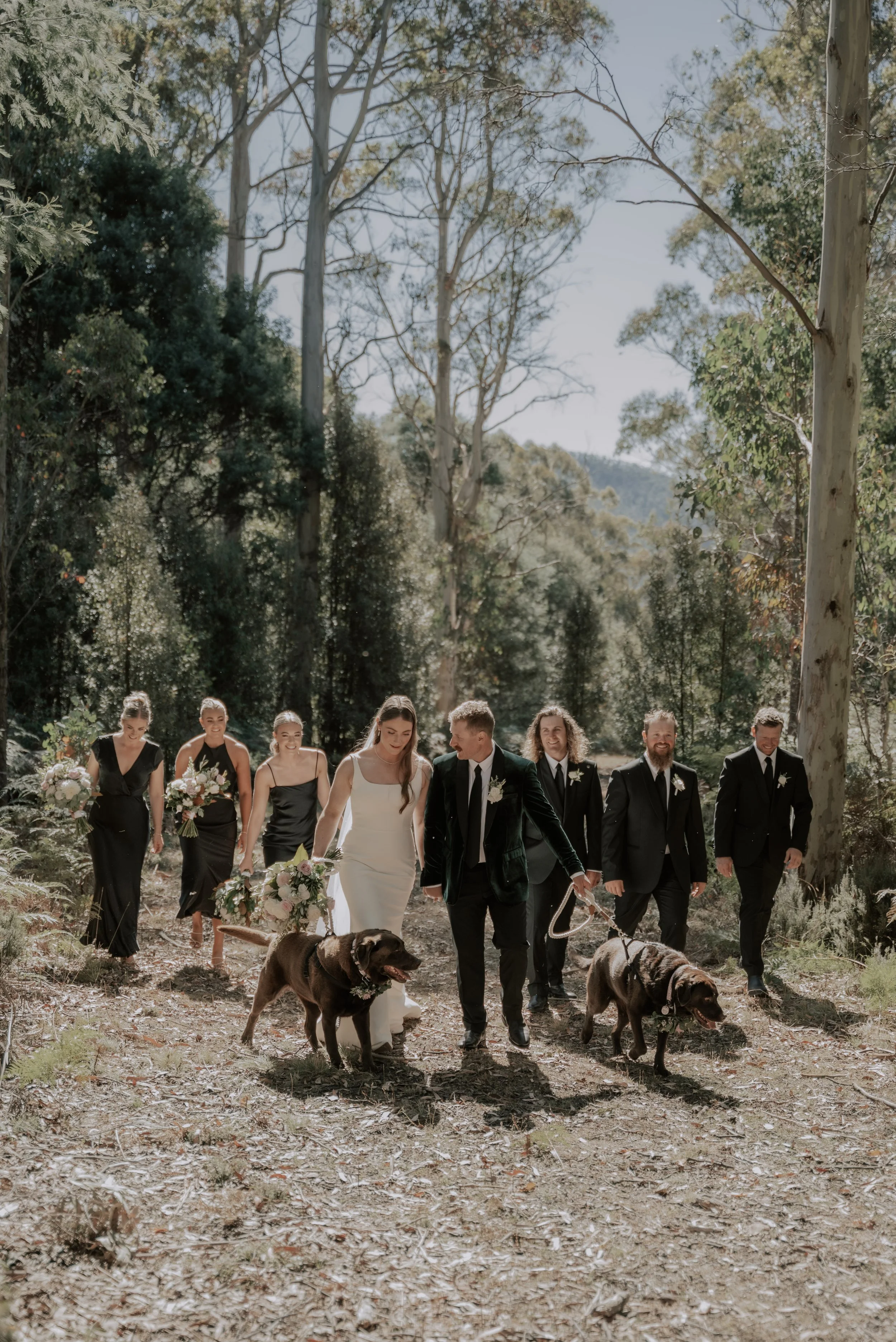 A wedding party walking through a wooded outdoor area with trees, including a bride and groom at the front, holding bouquets, accompanied by dogs, with bridesmaids and groomsmen following behind.