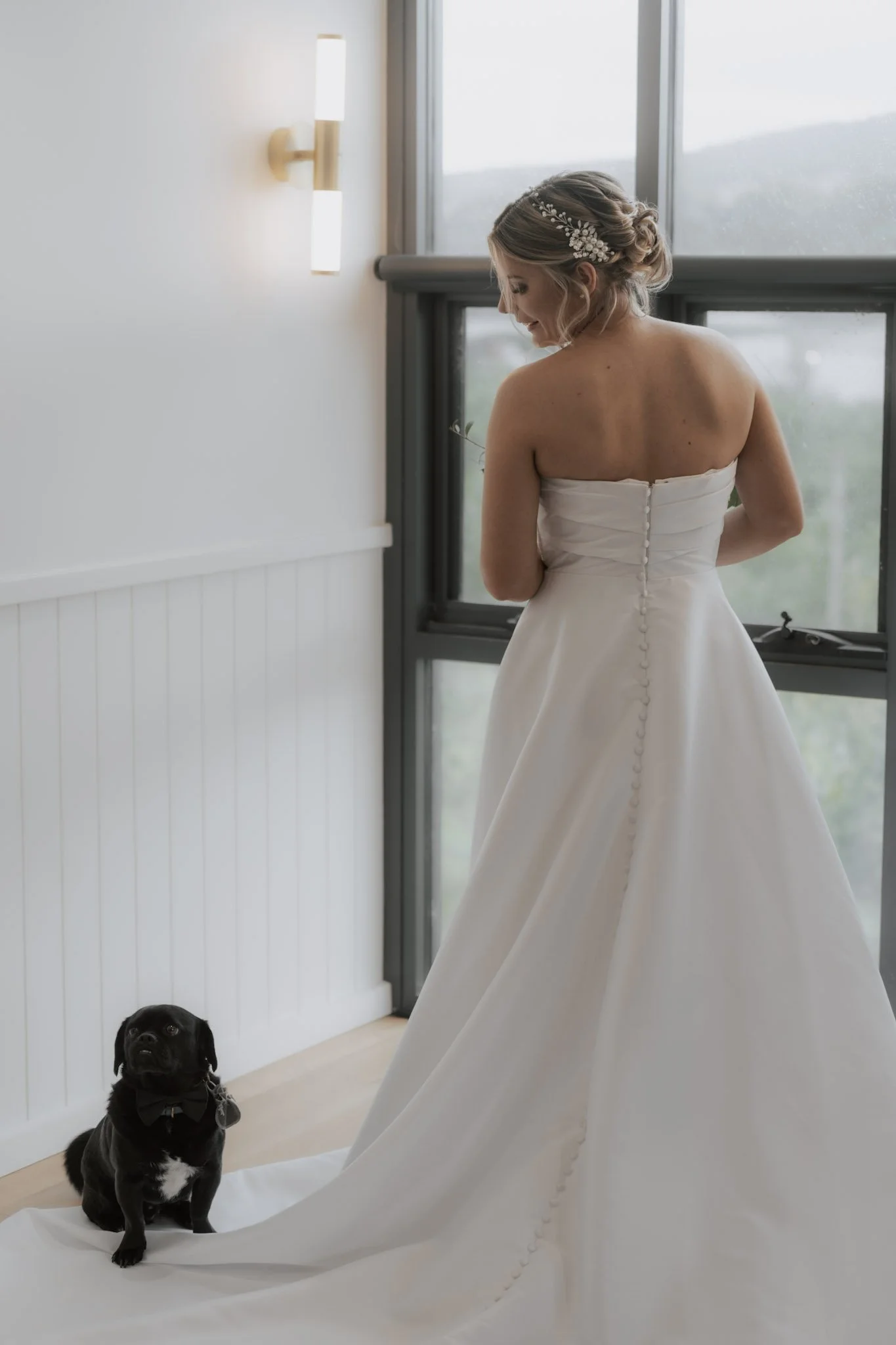 A bride in a strapless wedding dress standing next to a small black dog with a bow tie, indoors near a window.